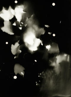 Fishbride - unique abstract black and white contemporary figurative photogram