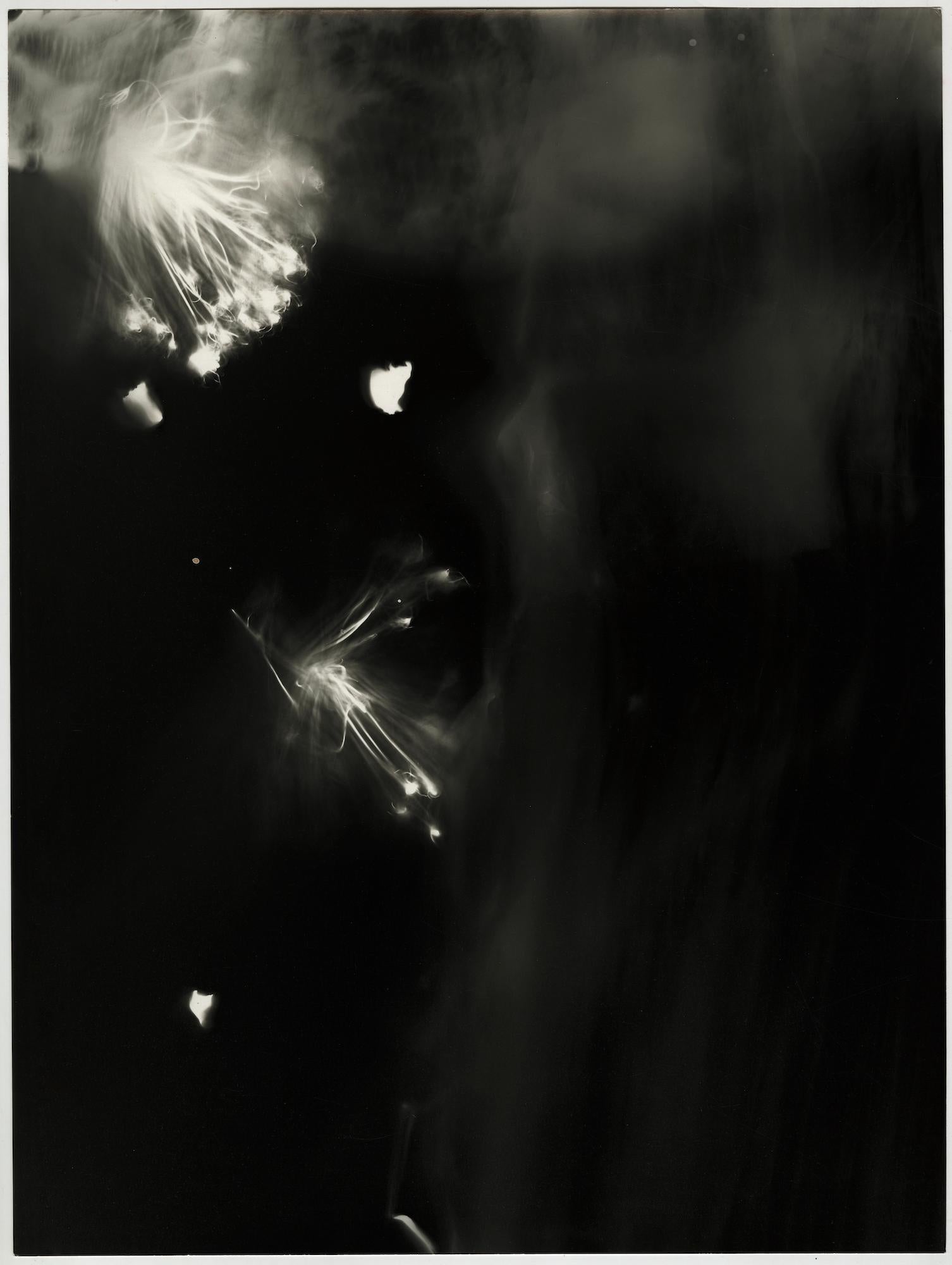 Abstract Photograph Kimberly Schneider Photography - Freefall - photographie abstraite contemporaine en noir et blanc de l'espace cleste