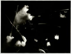 In Motion (aka Bear with the Hat) - photographie contemporaine en noir et blanc
