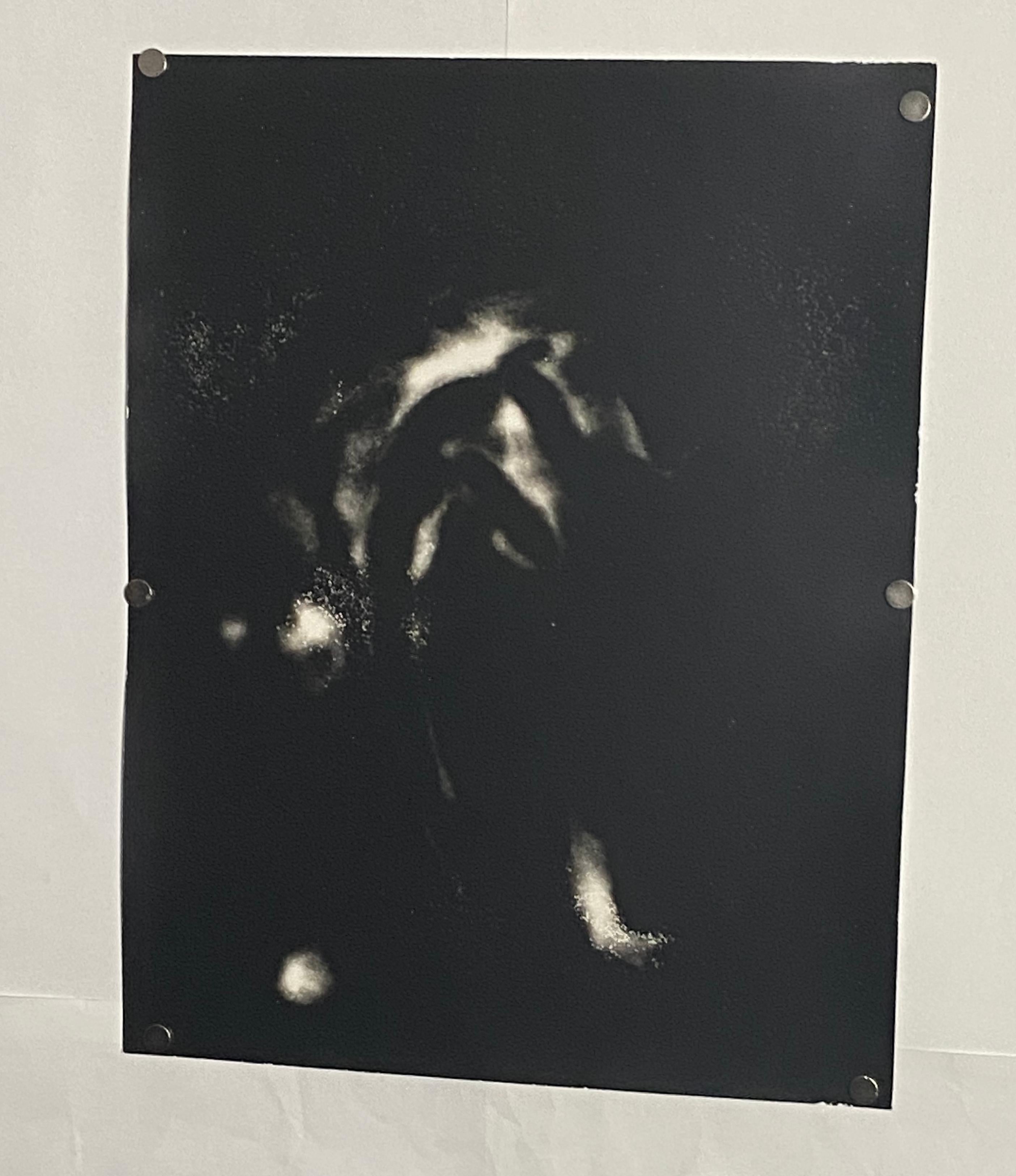 Interlaced - unique silver gelatin contemporary black and white analog photogram - Contemporary Photograph by Kimberly Schneider Photography