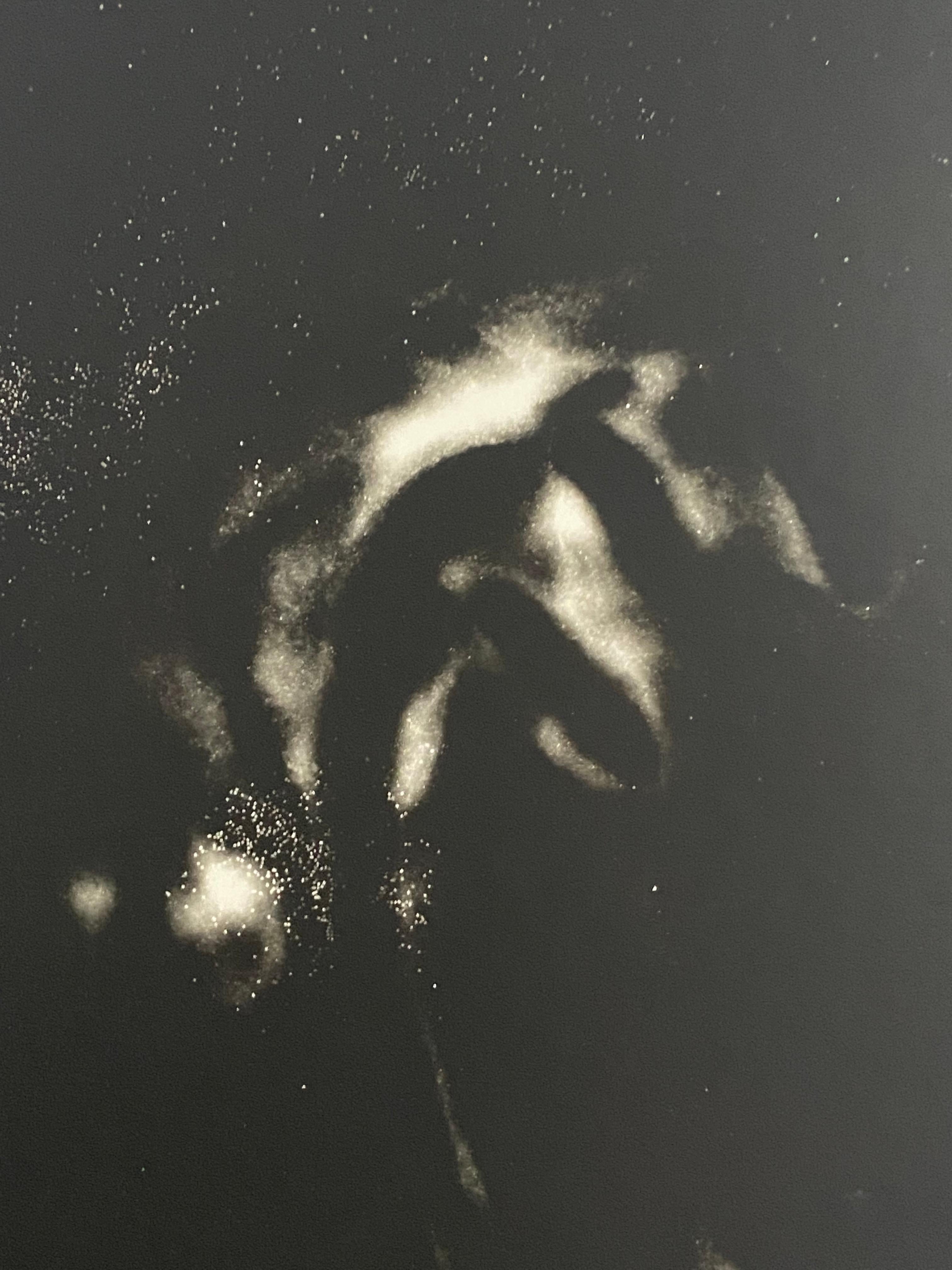 Interlaced - einzigartiges zeitgenössisches schwarzes und weißes analoges Fotogramm aus Silber gelatin (Schwarz), Black and White Photograph, von Kimberly Schneider Photography