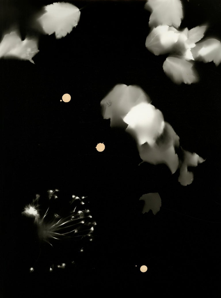 Kimberly Schneider Photography - Light Dripping - one-of-a-kind ...