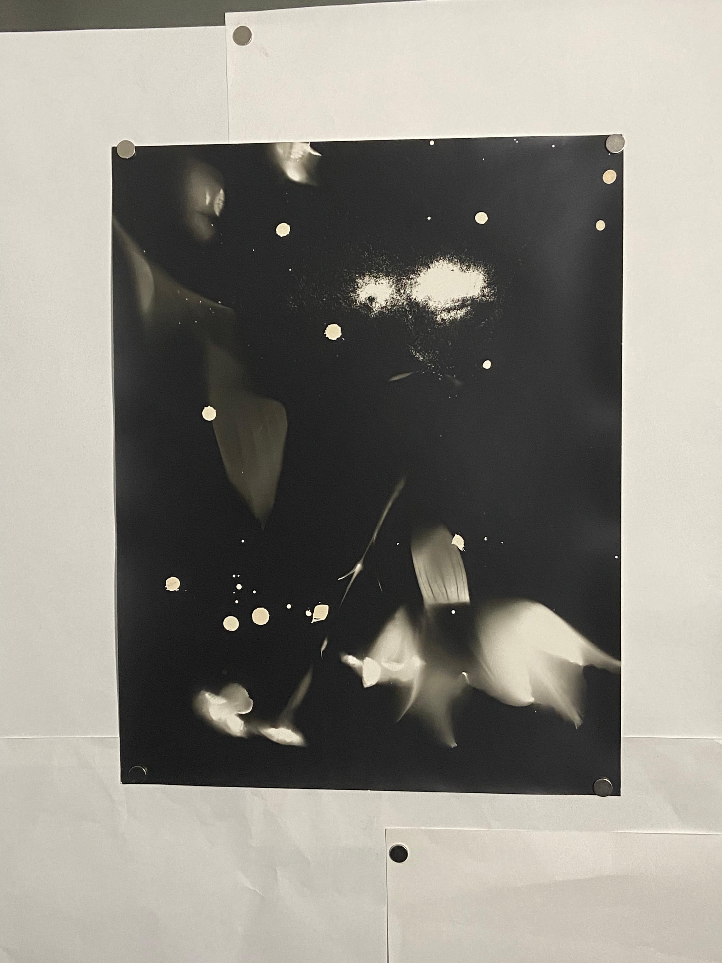 Moonlight - silver gelatin black and white abstract contemporary photograph 1