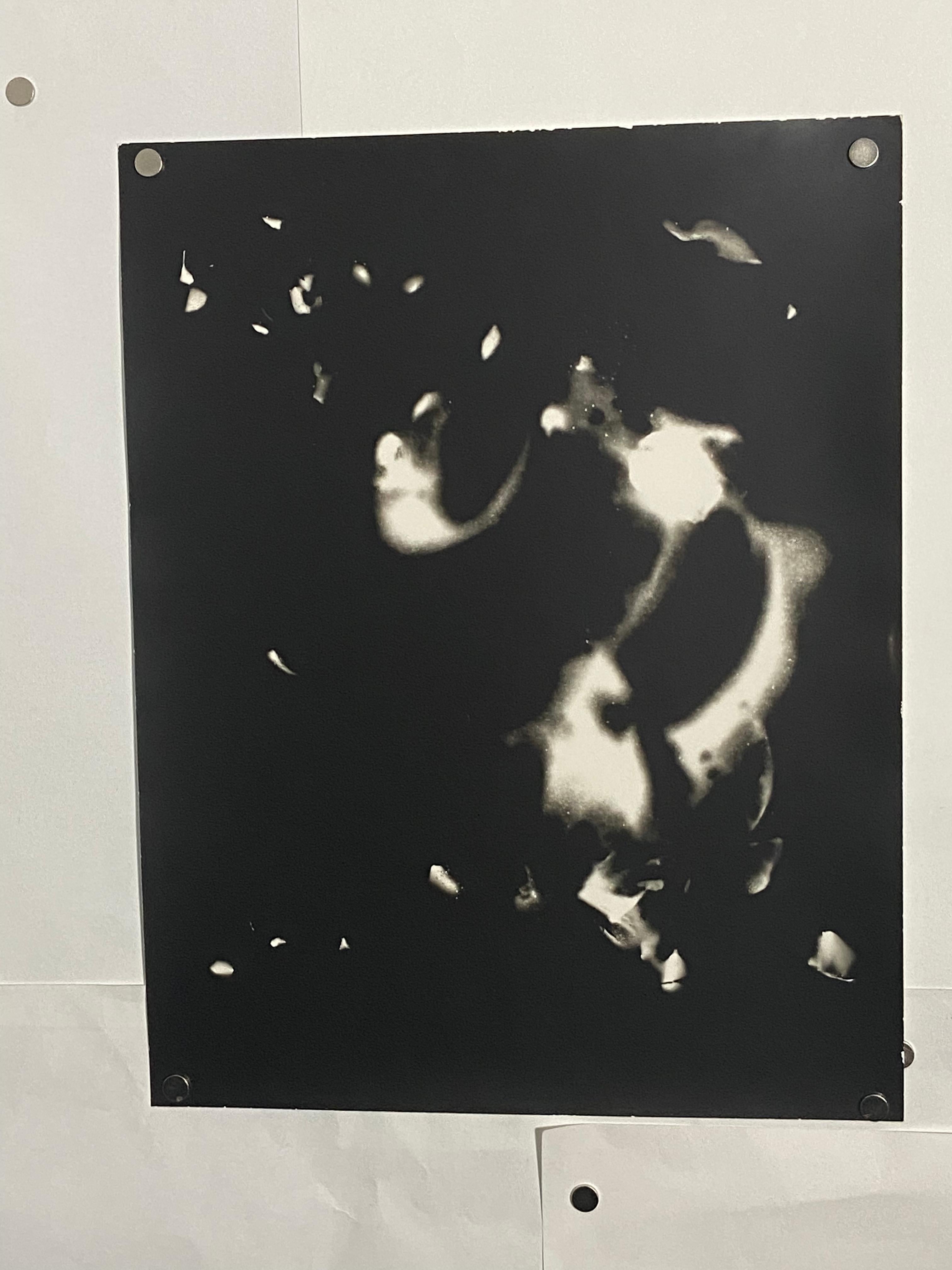 Music of the Night- unique contemporary black and white silver gelatin photogram - Photograph by Kimberly Schneider Photography