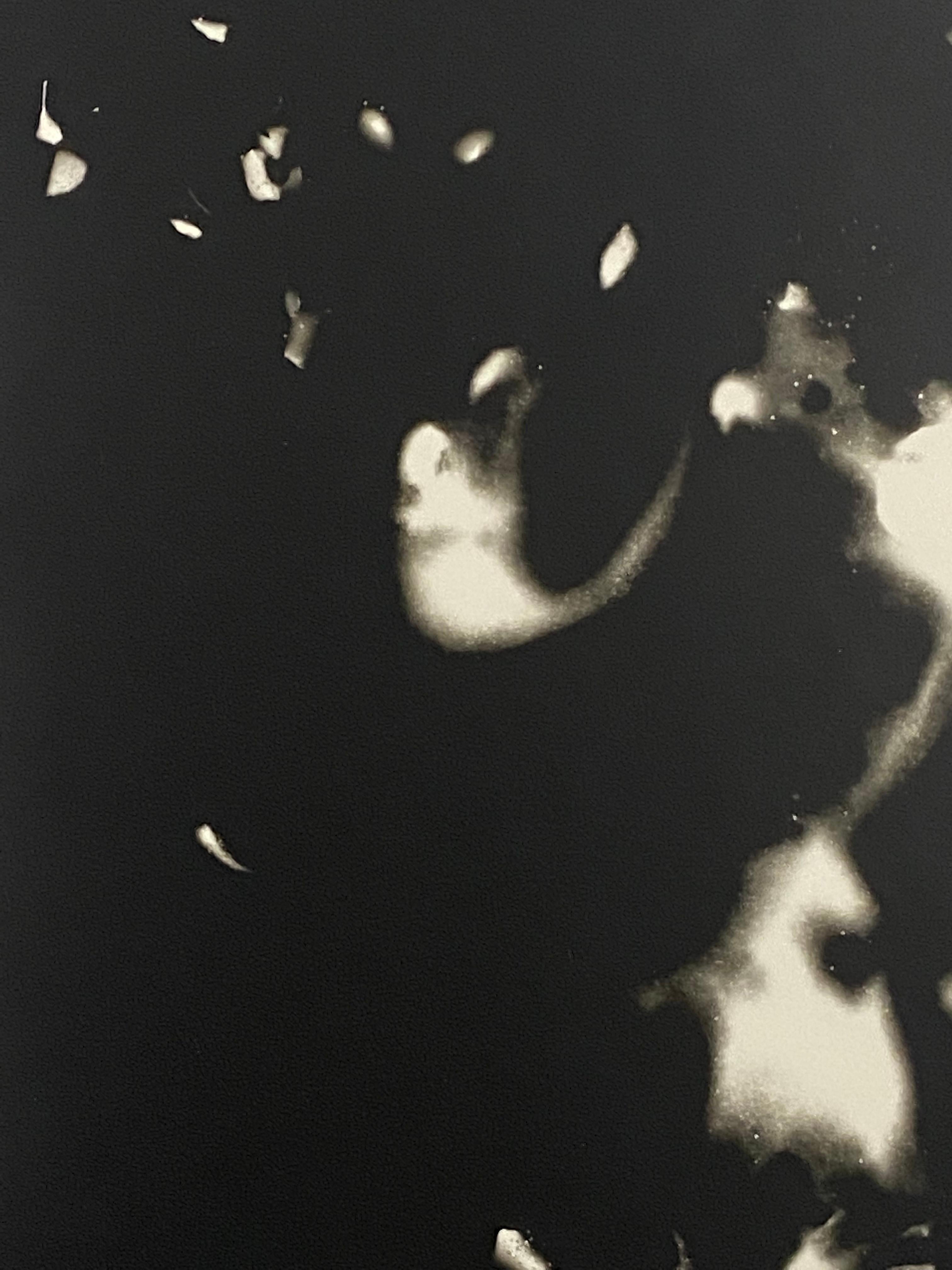 Music of the Night- unique contemporary black and white silver gelatin photogram - Black Black and White Photograph by Kimberly Schneider Photography