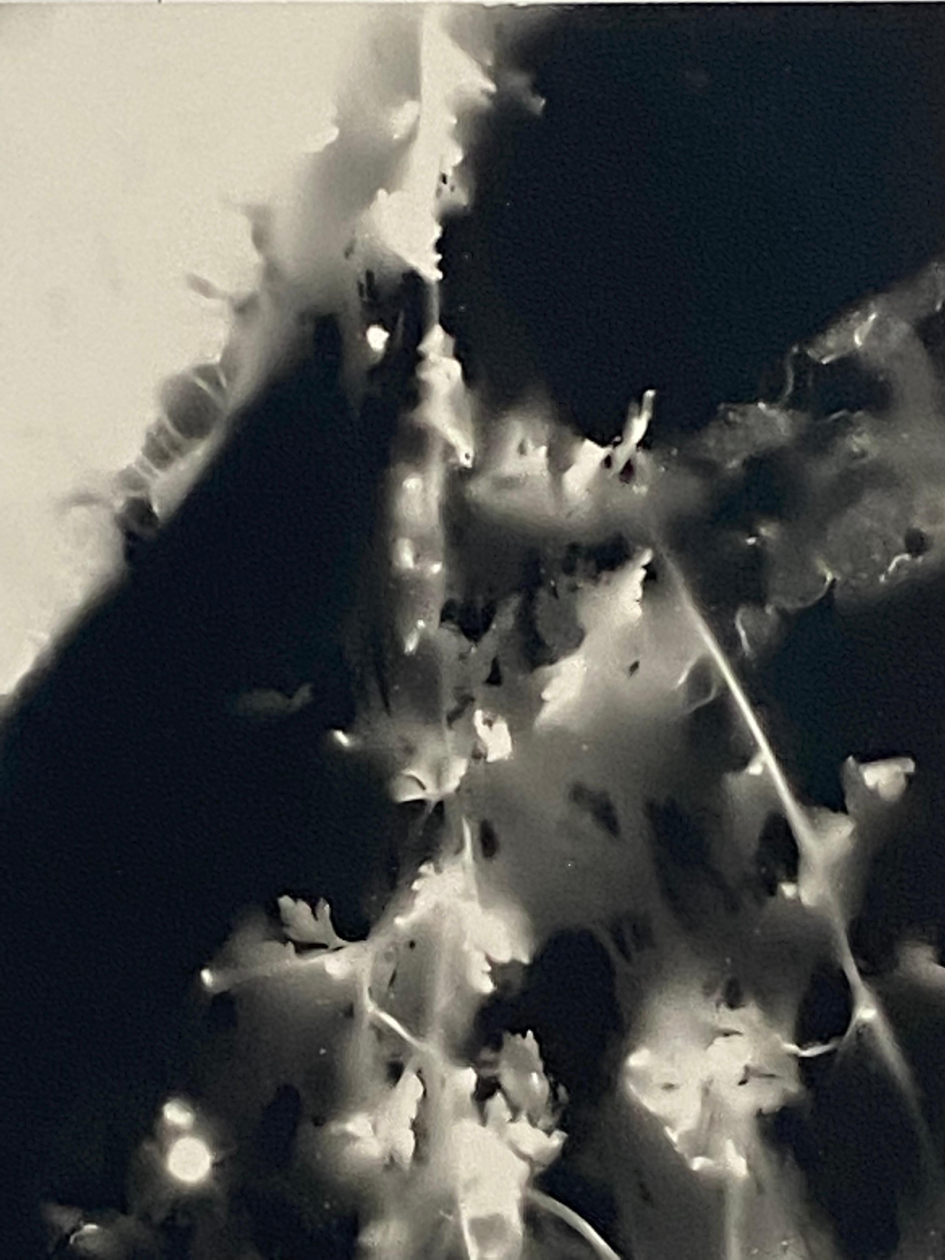 Hals- und Schultern-Fotogramm – einzigartiges abstraktes zeitgenössisches Silbergelatine-Fotogramm (Abstrakt), Photograph, von Kimberly Schneider Photography