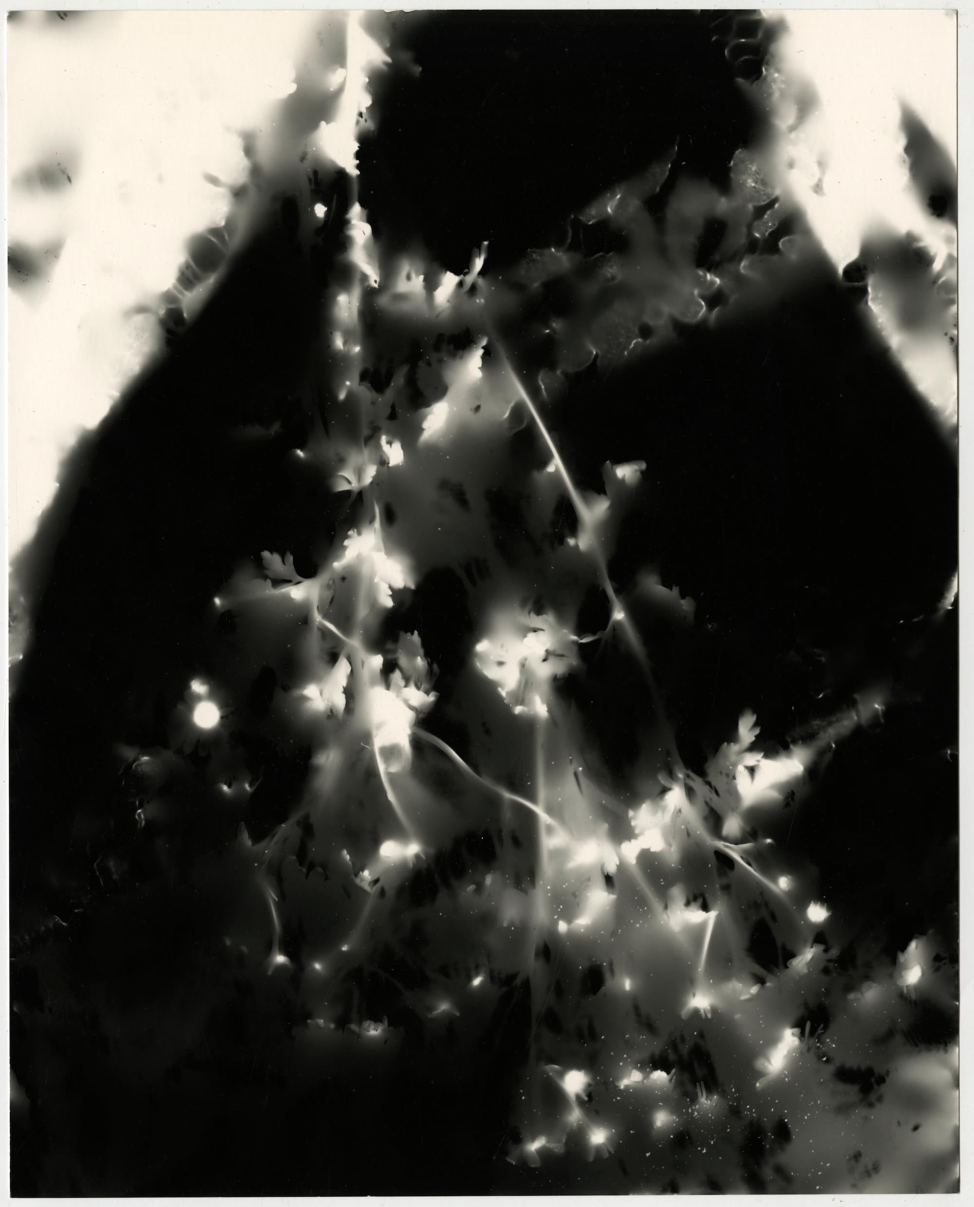 Kimberly Schneider Photography Abstract Photograph - Neck & Shoulders - unique abstract contemporary silver gelatin b&w photogram
