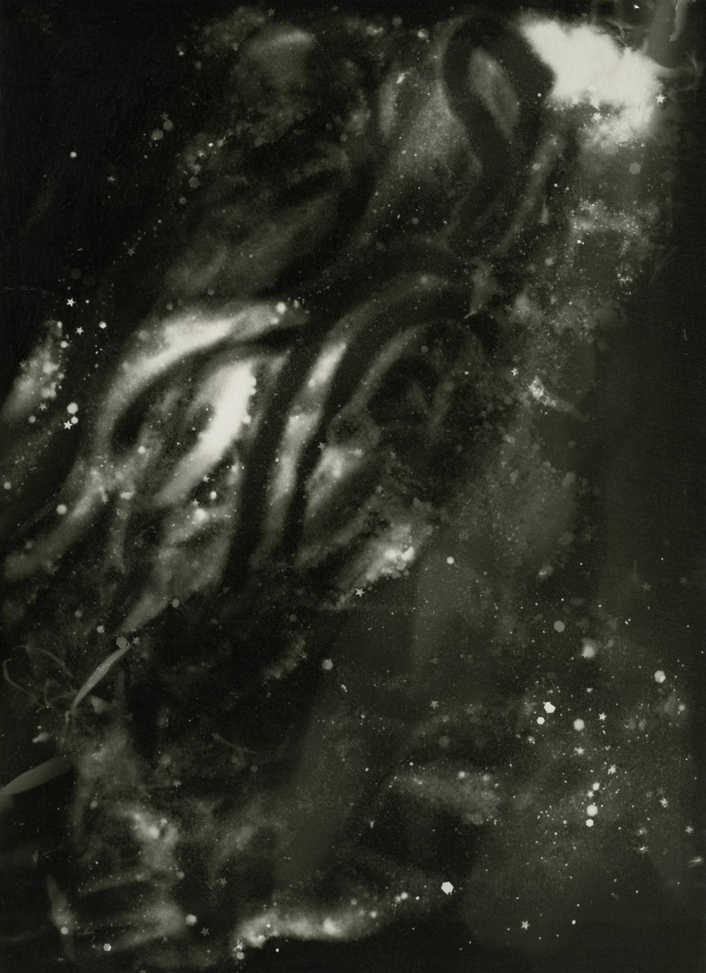 Octopus (alias Der Swimmer) –  Abstrakte zeitgenössische Schwarz-Weiß-Fotografie