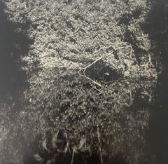 Étude Reflection - Photographie de paysage en noir et blanc en édition limitée de Floride