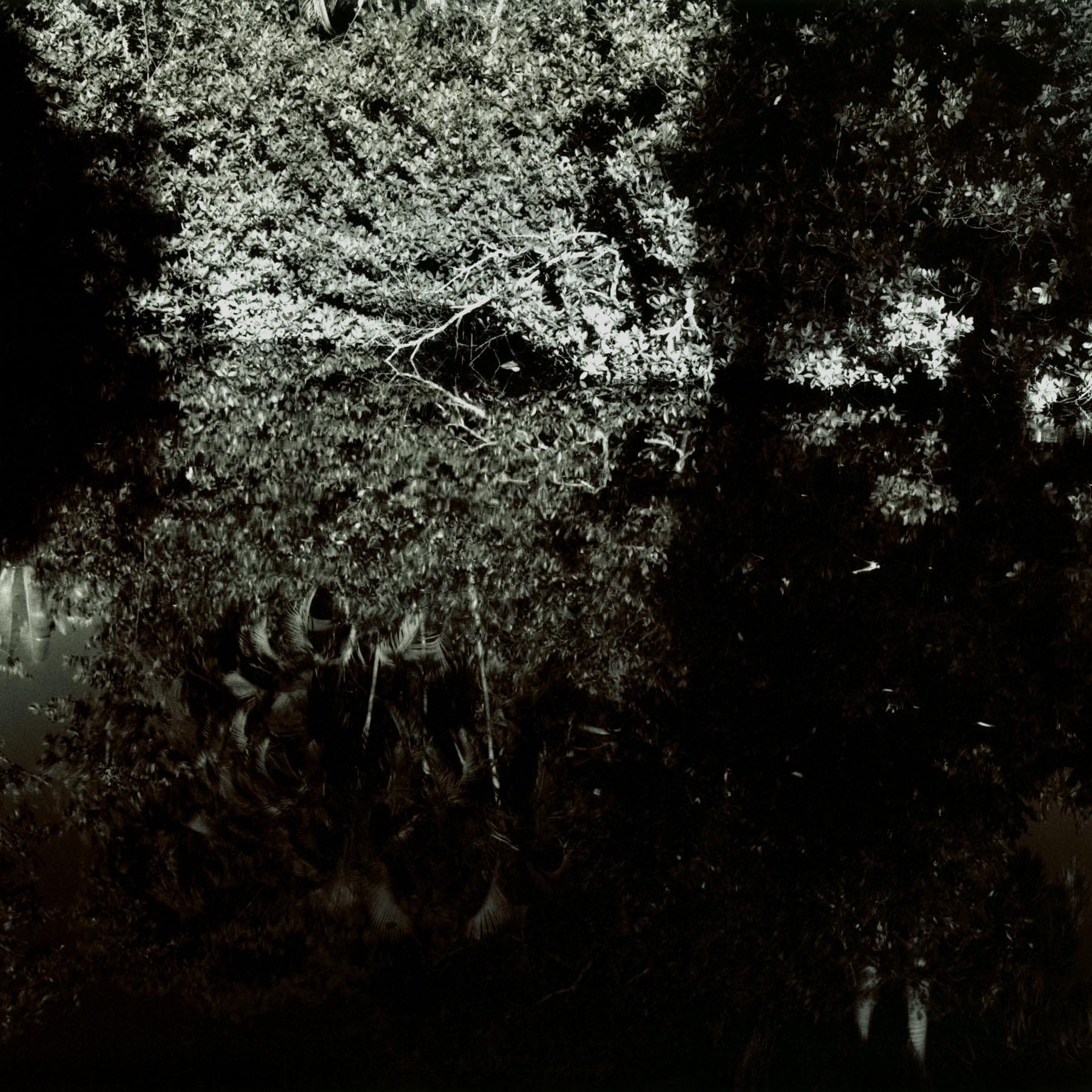 Reflection Study – Schwarz-Weiß-Landschaftsfotografie in limitierter Auflage aus Florida