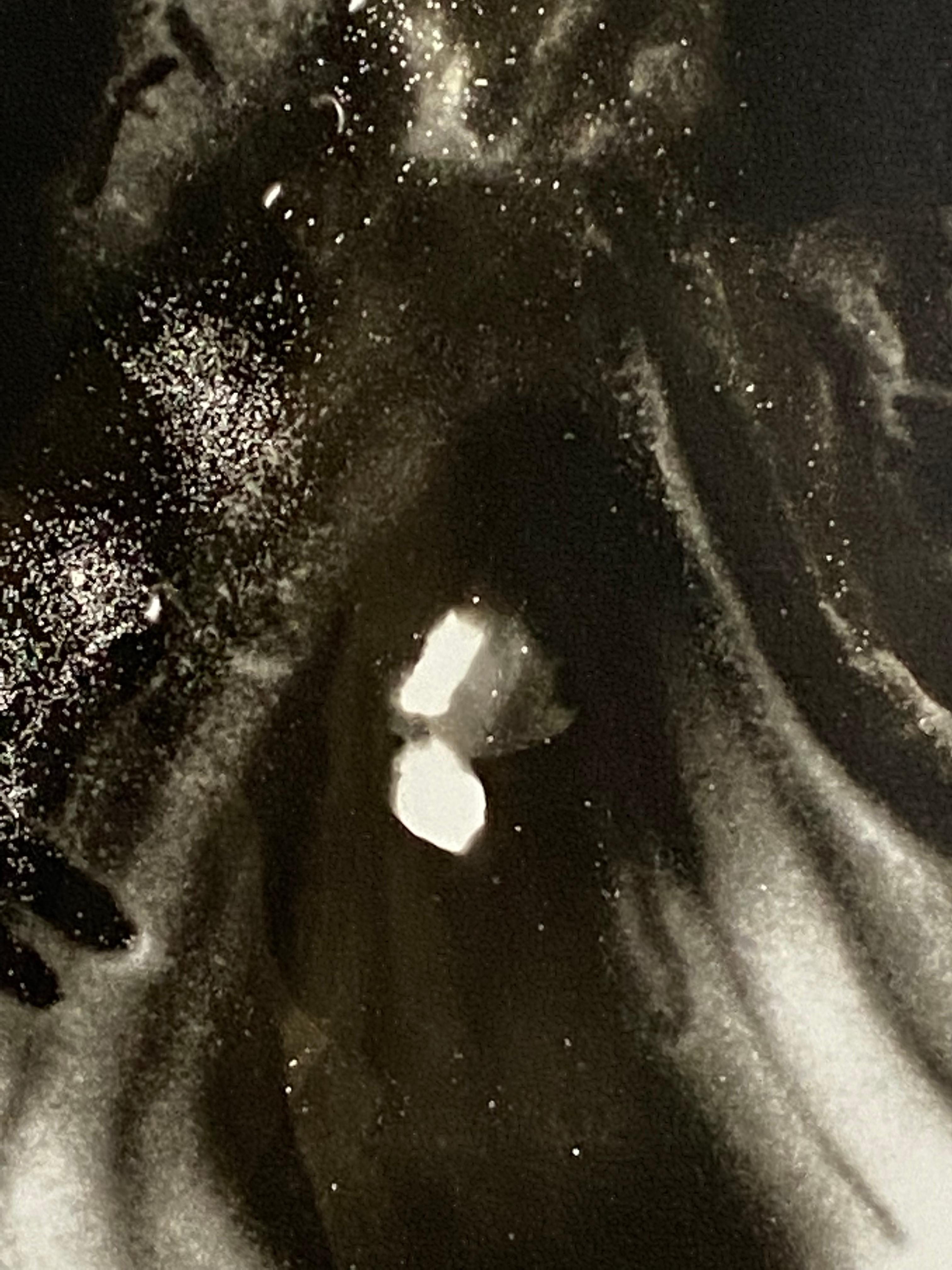 Shakespeare – abstraktes, einzigartiges Fotogramm aus Silbergelatine, b&w, zeitgenössischer Druck  (Schwarz), Abstract Photograph, von Kimberly Schneider Photography