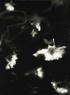 Taurus - unique contemporary abstract figurative black and white photograph