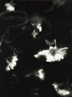 Tauro - fotografía única contemporánea abstracta figurativa en blanco y negro
