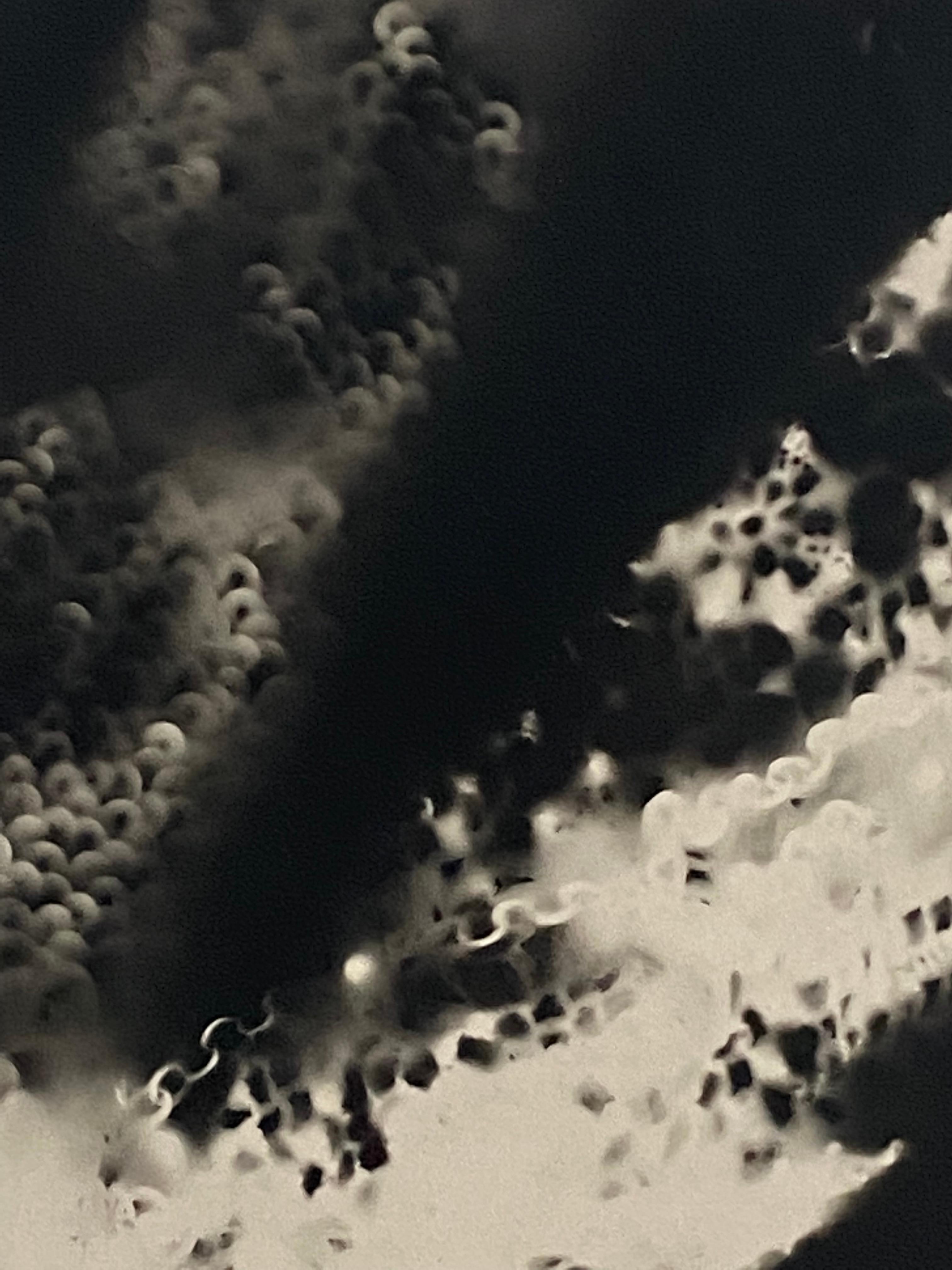 Unique silver gelatin print (photogram made sans enlarger); from my 
