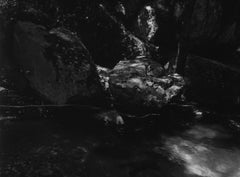 Untitled, Grass Valley (CA)-  black and white landscape infrared film photograph