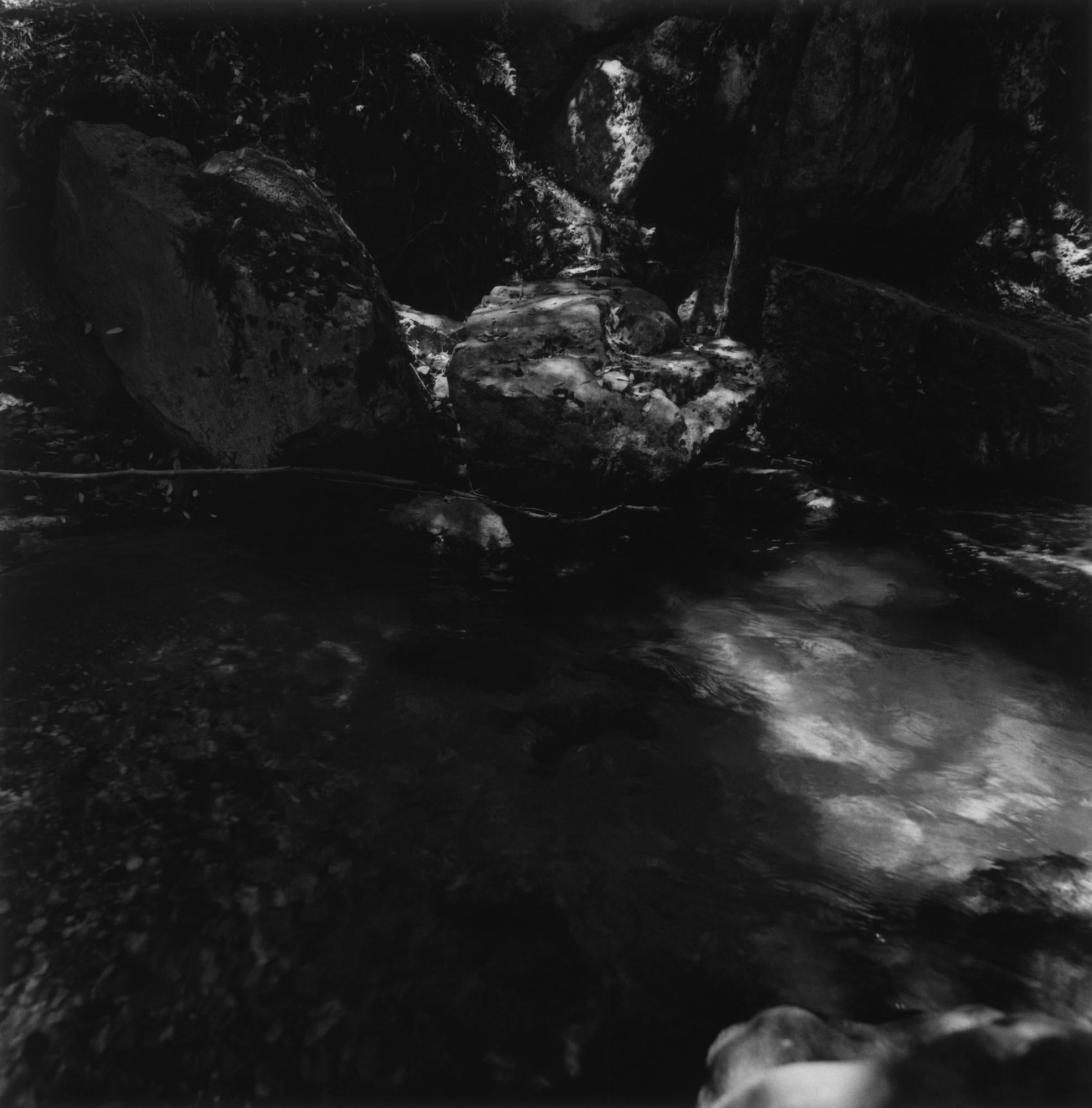 Kimberly Schneider Photography Landscape Photograph – Ohne Titel, Grass Valley (CA)-  Schwarz-Weiß-Landschafts- Infrared-Filmfotografie