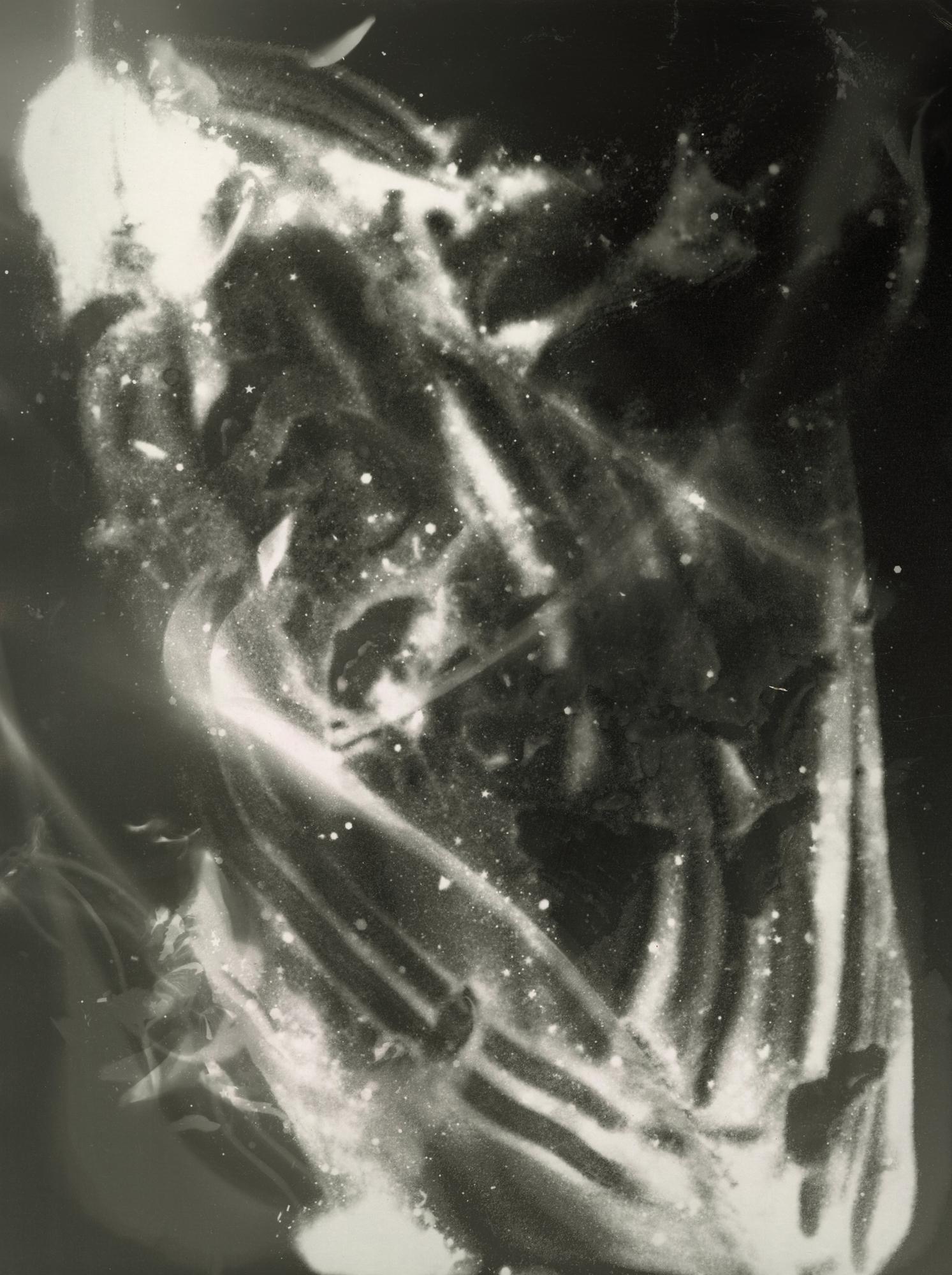 Venus Flytrap - einzigartiges zeitgenössisches abstraktes Fotogramm aus Gelatinesilber in Dunkelkammer