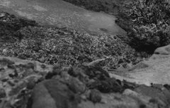 Wonderland #3 - limited edition black and white California landscape photograph