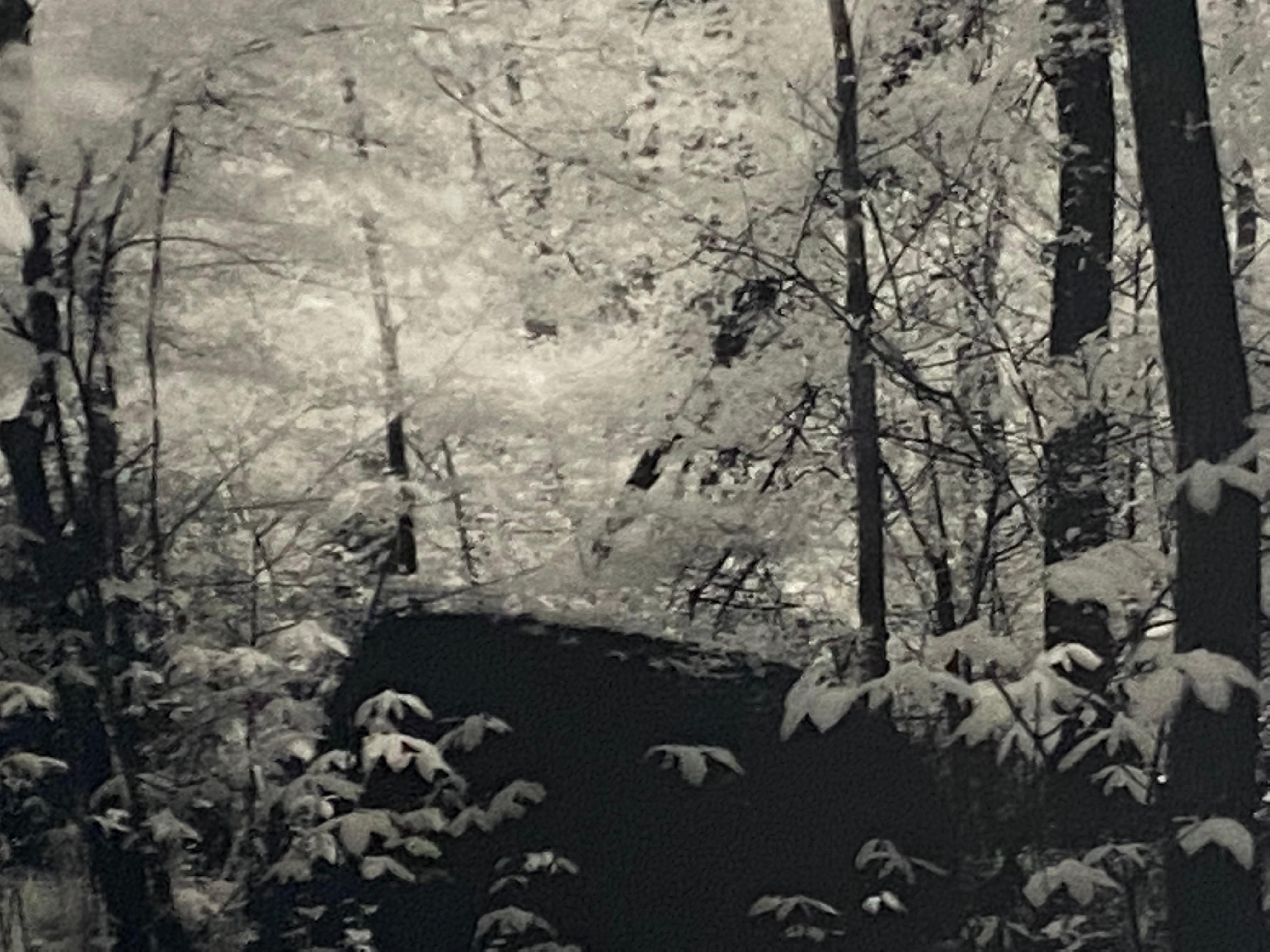 Wonderland Part 2 - contemporary infrared film black and white photograph - Contemporary Photograph by Kimberly Schneider Photography