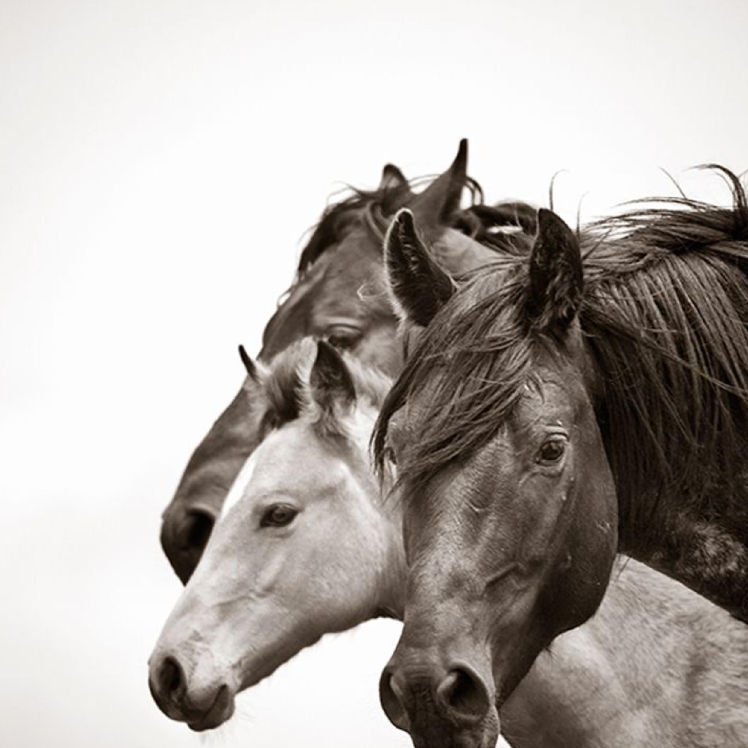 JUNTOS RESISTIREMOS - Figurative Photograph Gris de Kimerlee Curyl