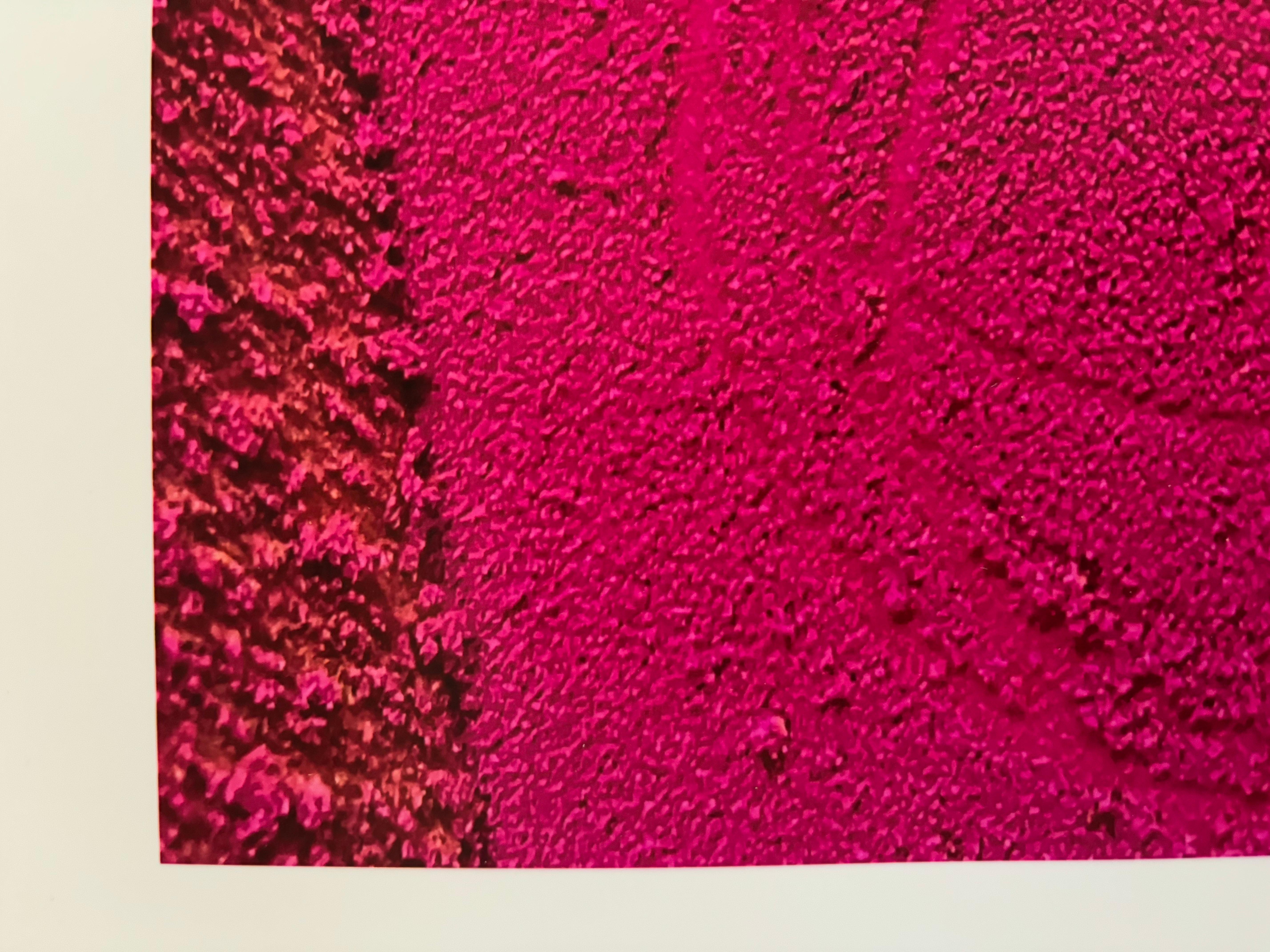 Fotografía Círculos Morados Limitada Firmada en venta 2