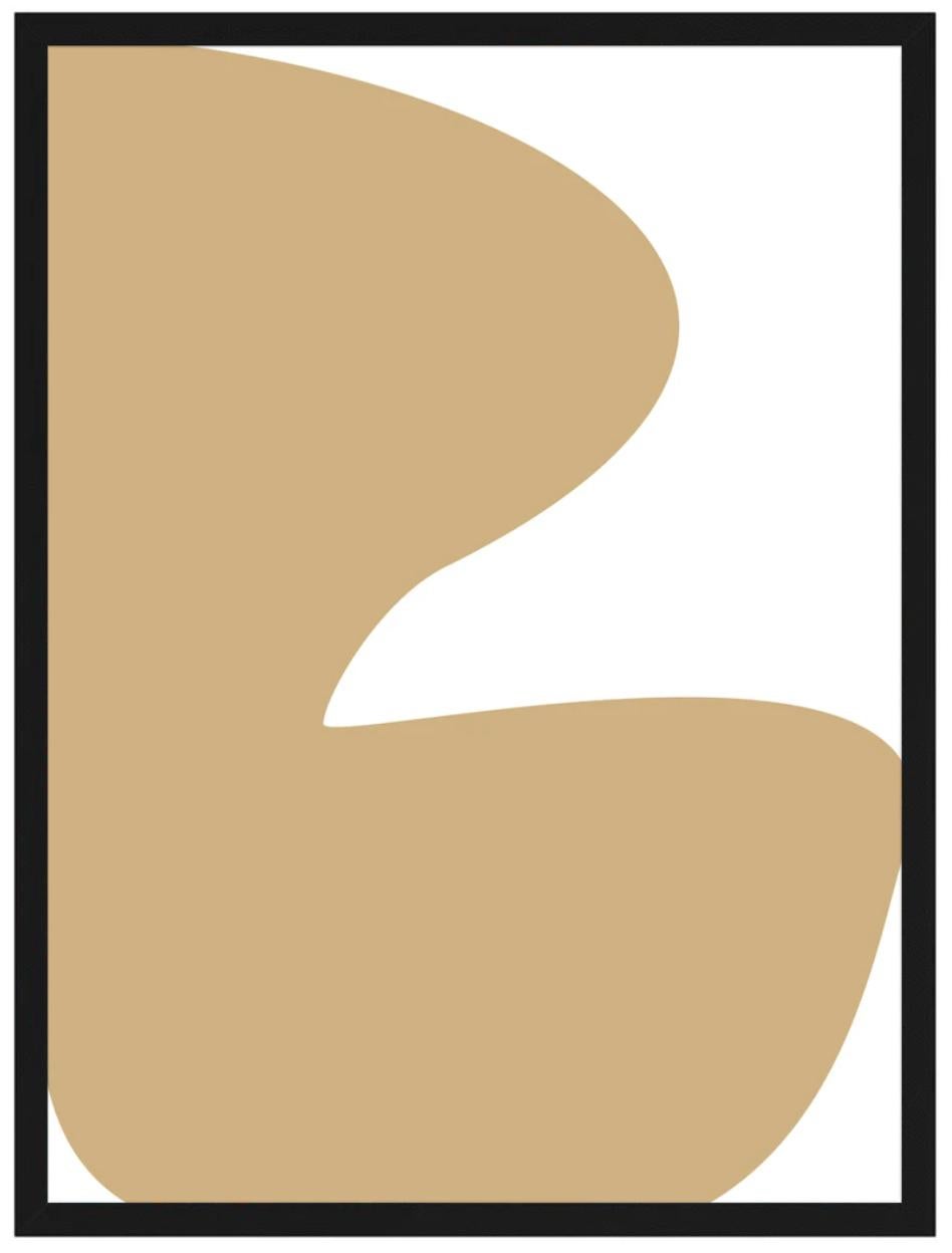 Cammello in vendita 2