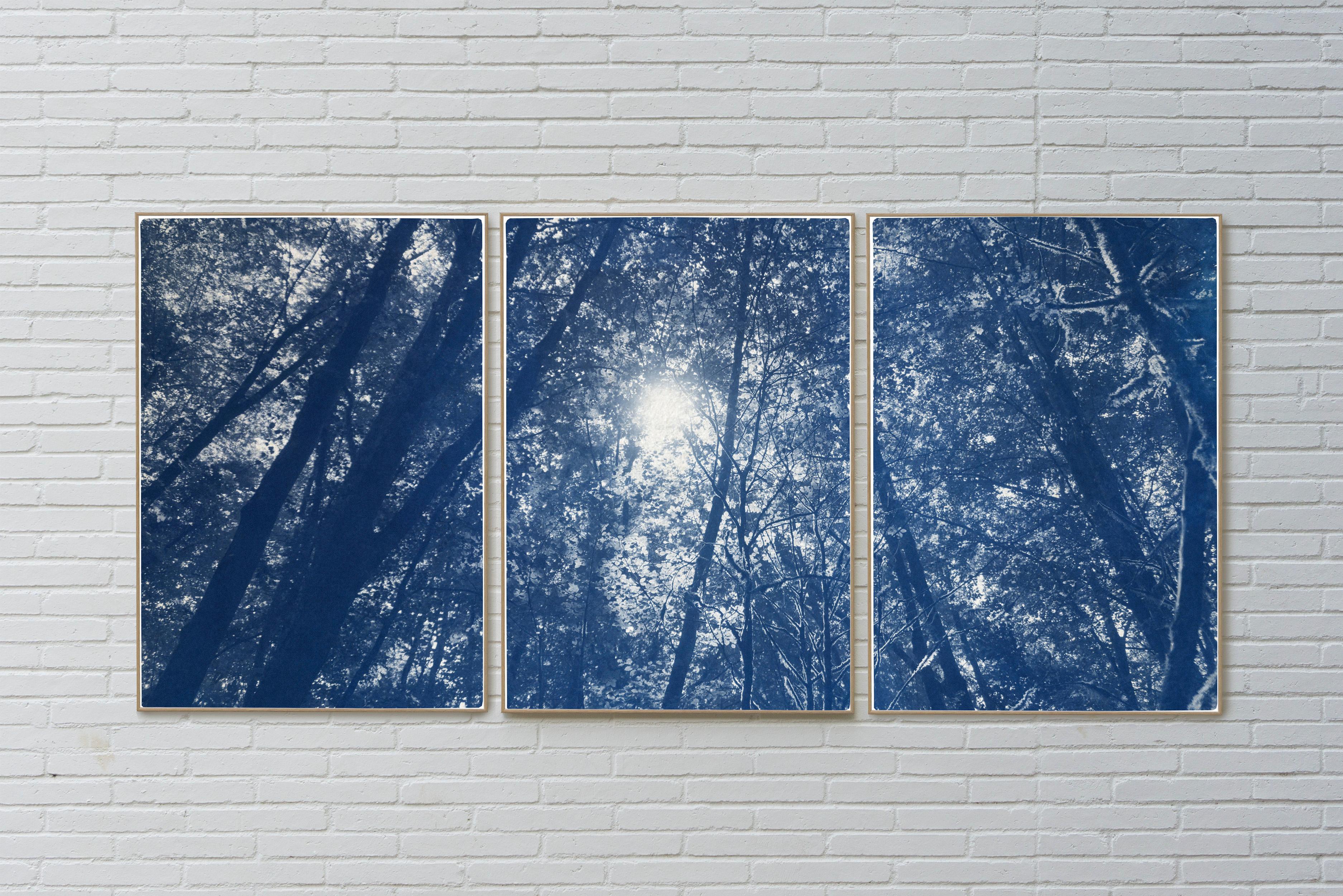 This is an exclusive handprinted limited edition cyanotype.

This beautiful triptych displays a tranquil forest scene where the sunlight travels delicately through the trees. 

Details:
+ Title: Looking Up Through The Trees
+ Year: 2021
+ Edition