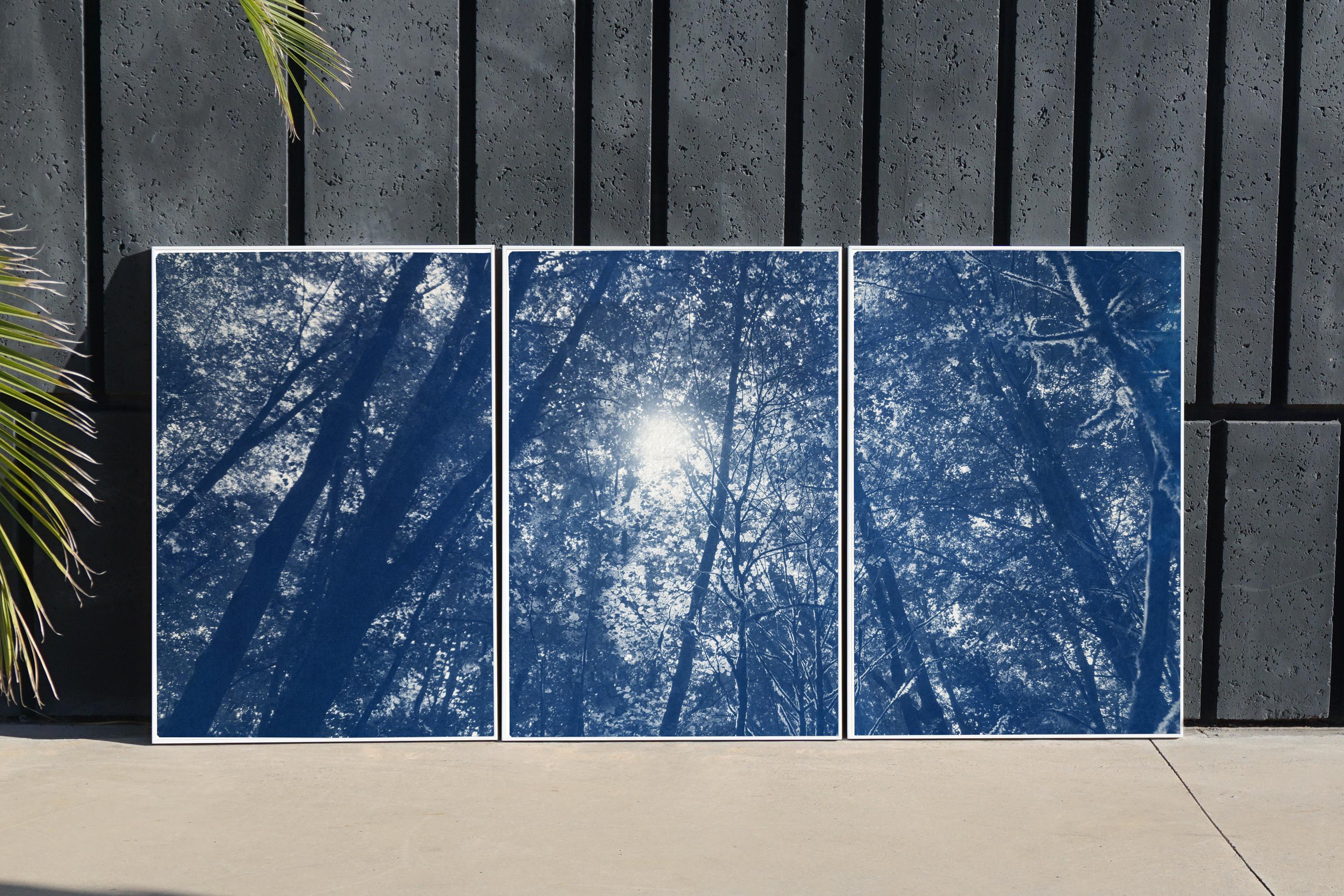 Blue Tones Forest Triptych, Looking Up Through The Trees, Limited Edition Cyano 1
