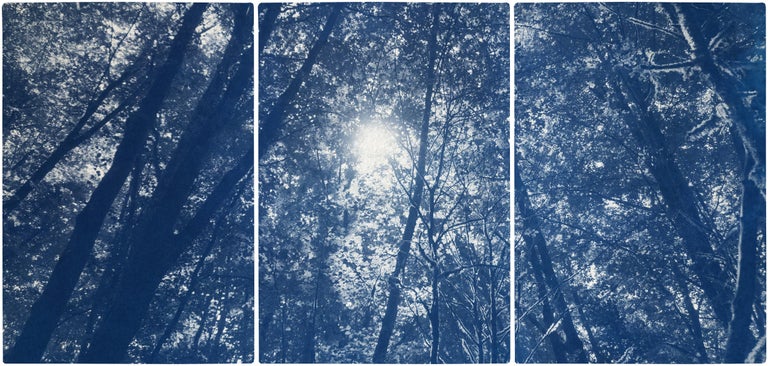 Kind of Cyan Landscape Painting - Blue Tones Forest Triptych, Looking Up Through The Trees, Limited Edition Cyano