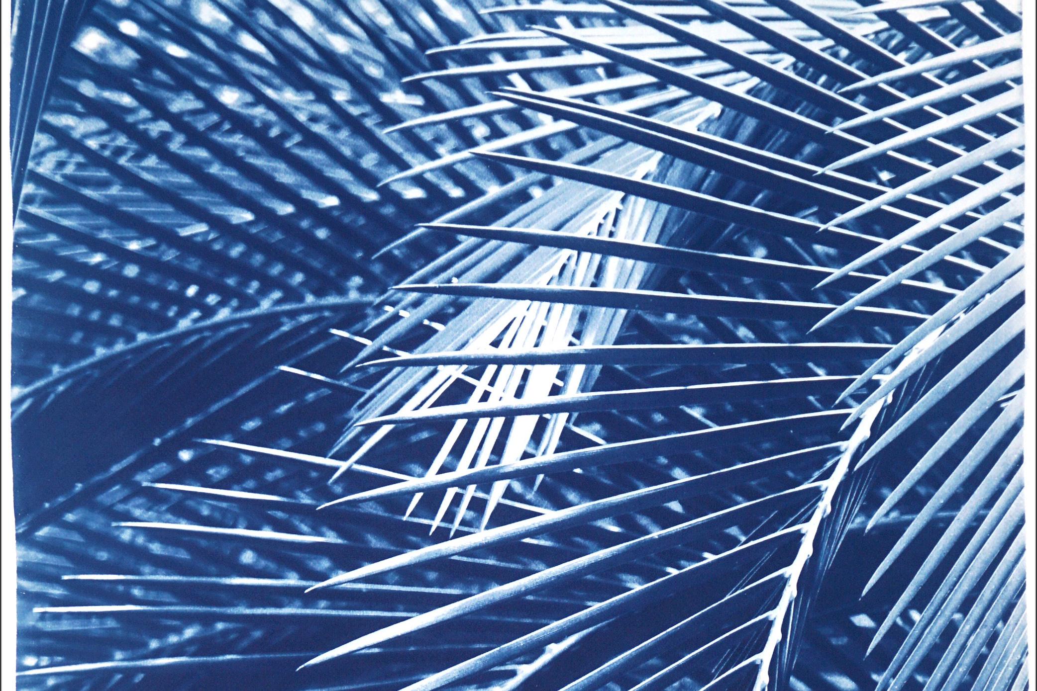 Triptyque botanique imprimé cyanotype de feuilles de palmier majestueuses en bleu  - Bleu Landscape Painting par Kind of Cyan