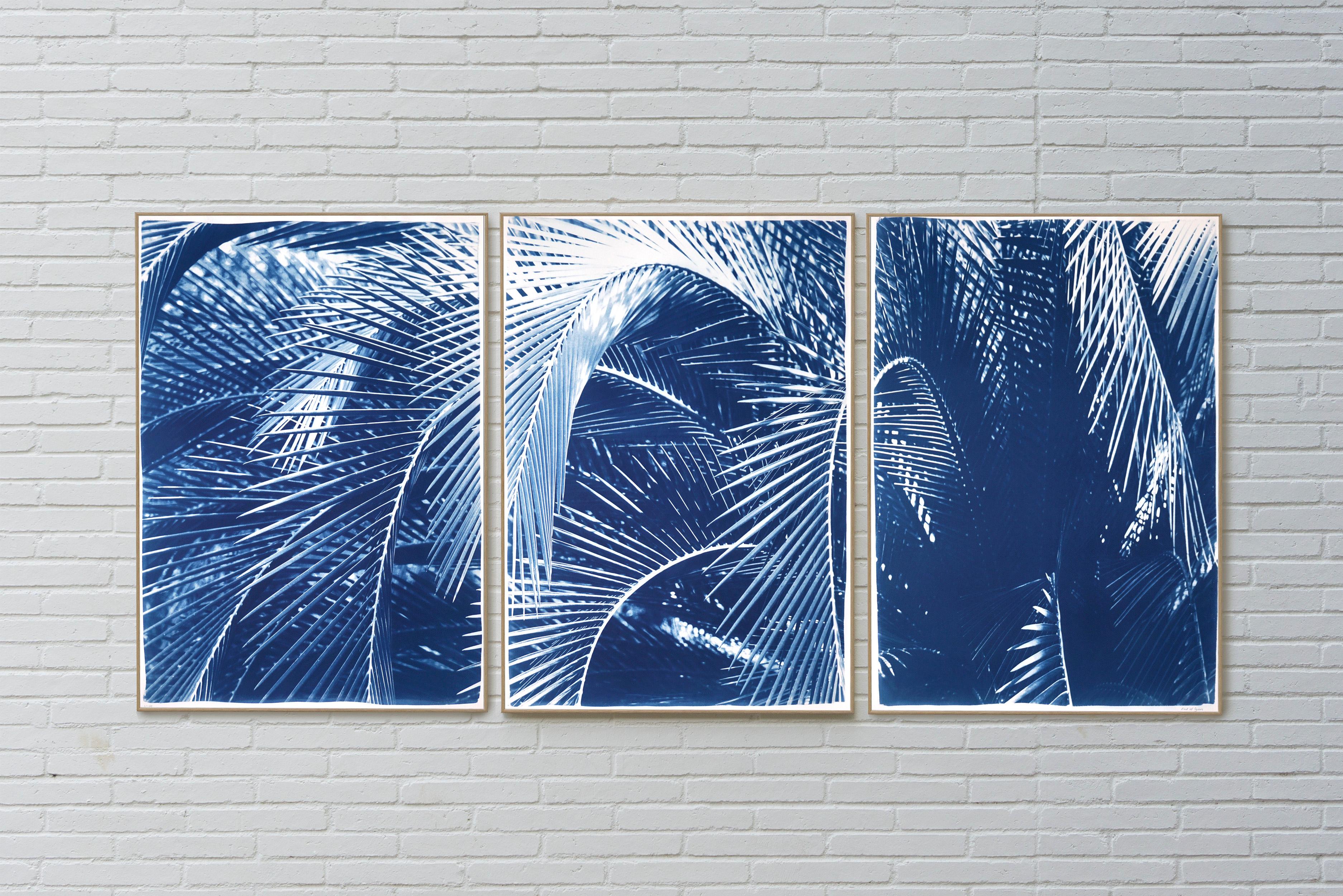 Botanical Triptych Cyanotype Print of Shady Majesty Palm Leaves Garden in Blue  For Sale 1