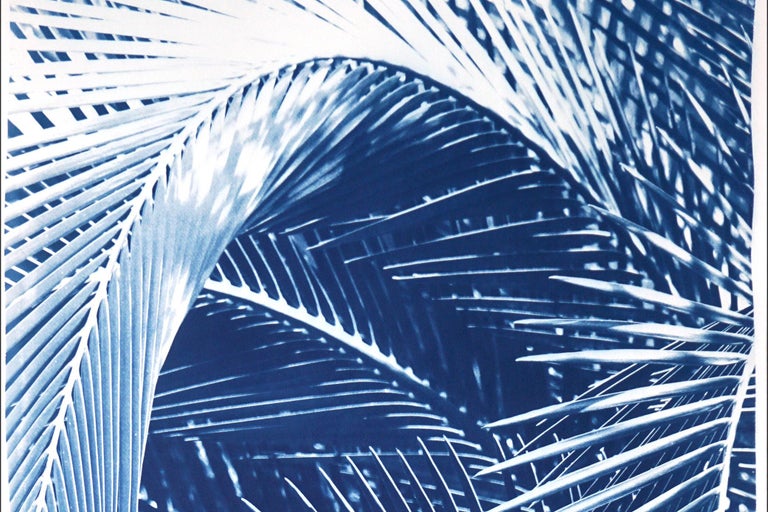 Botanical Triptych Cyanotype Print of Shady Majesty Palm Leaves Garden in Blue  For Sale 5