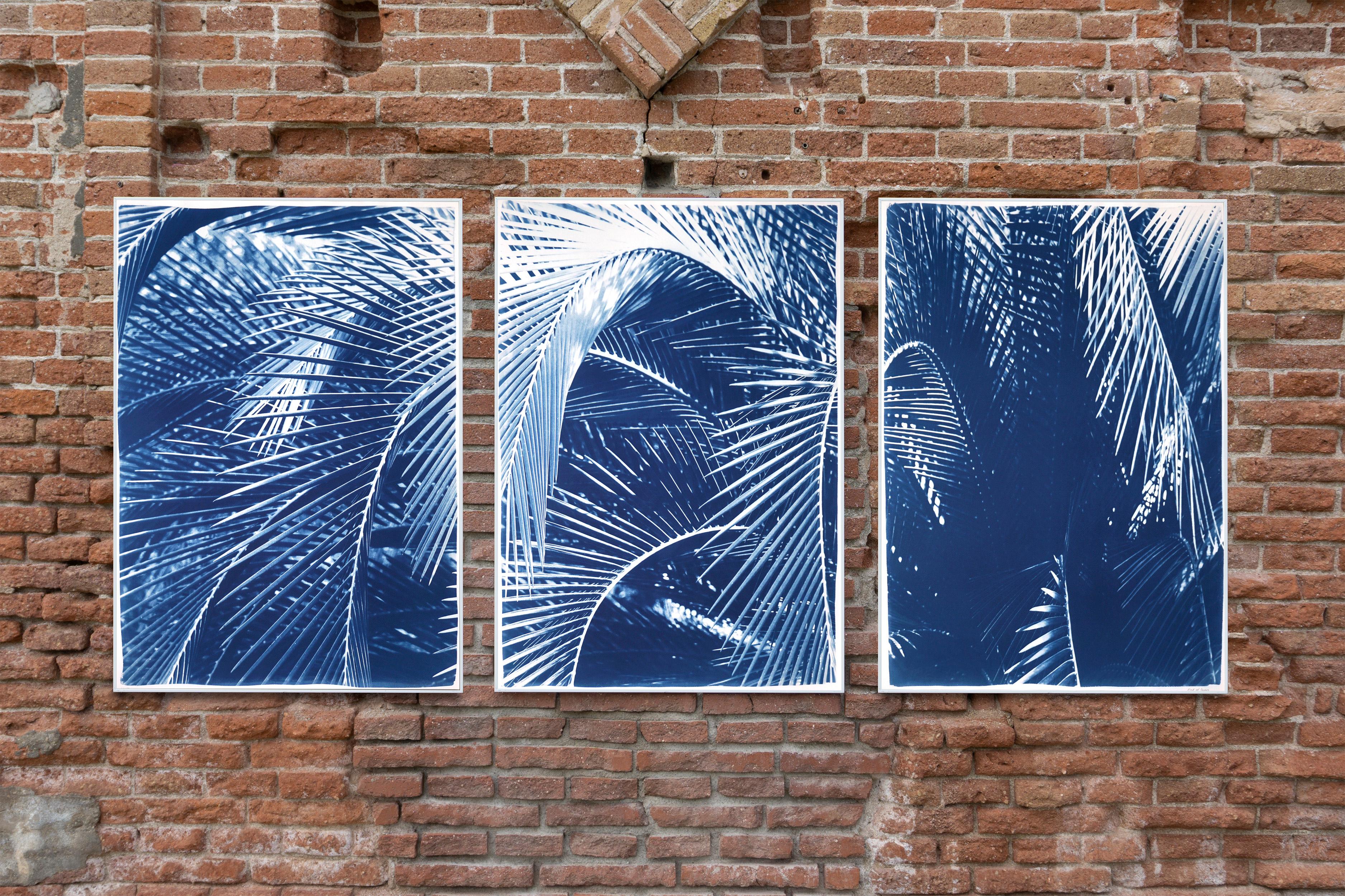 Triptyque botanique imprimé cyanotype de feuilles de palmier majestueuses en bleu  en vente 3