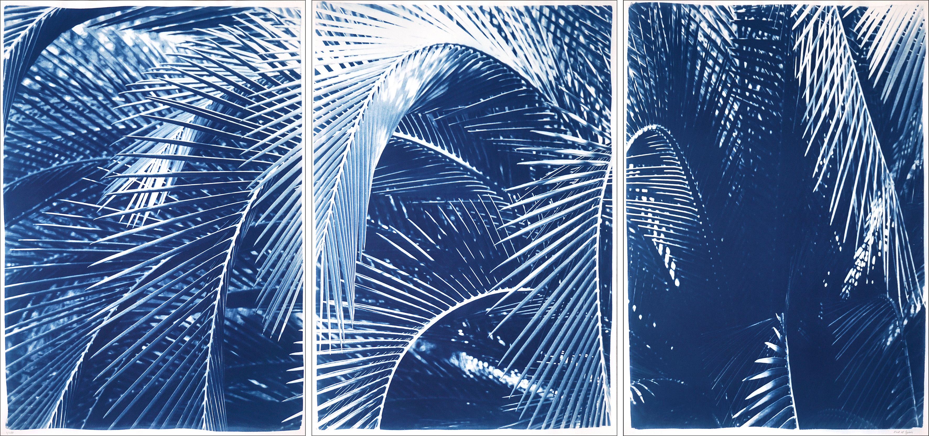 Botanical Triptych Cyanotype Print of Shady Majesty Palm Leaves Garden in Blue 