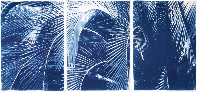 Kind of Cyan Landscape Print - Botanical Triptych Cyanotype Print of Shady Majesty Palm Leaves Garden in Blue 