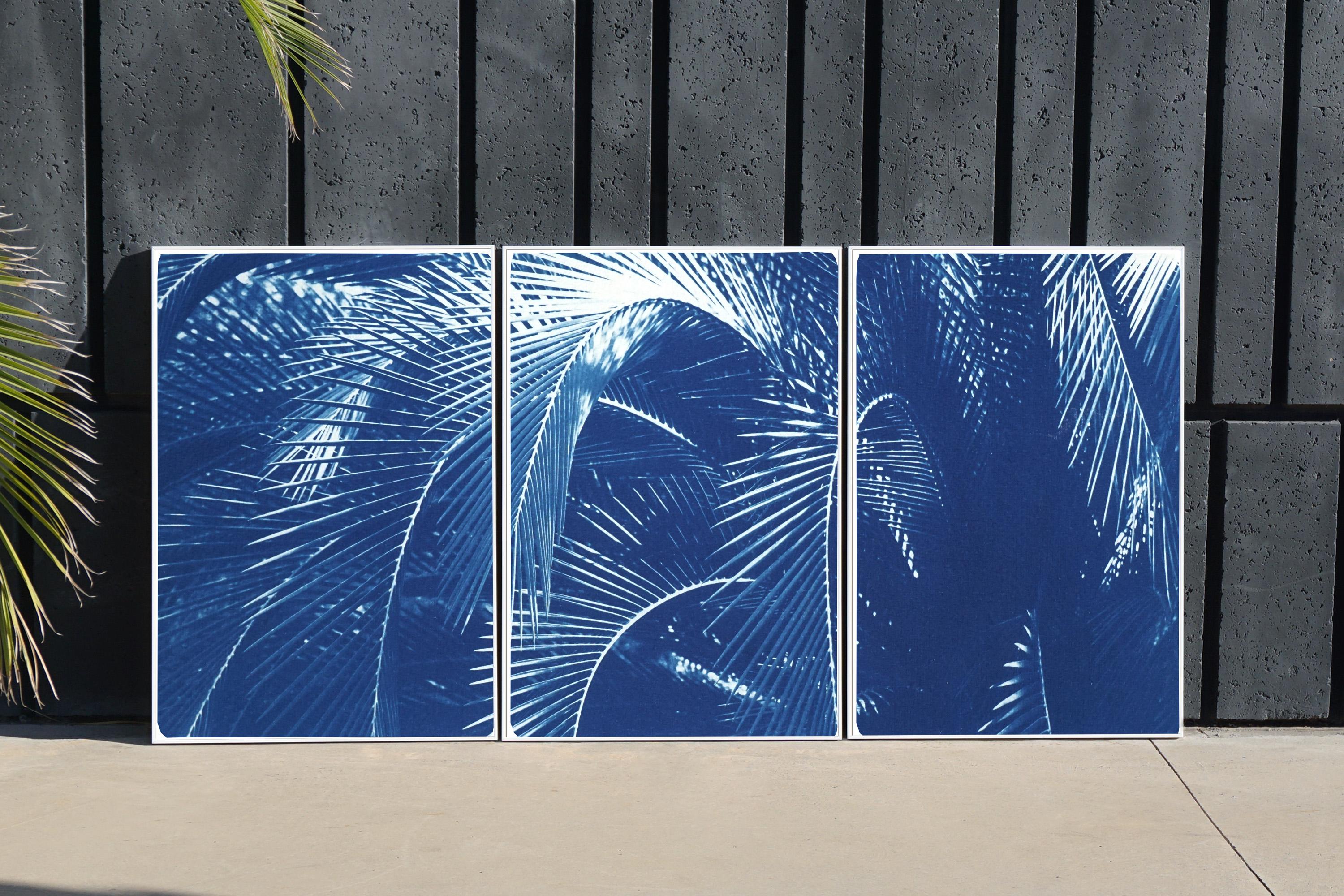 Botanical Triptych of Shady Majesty Palm Leaves Garden, Blue Tones Cyanotype  - Print by Kind of Cyan