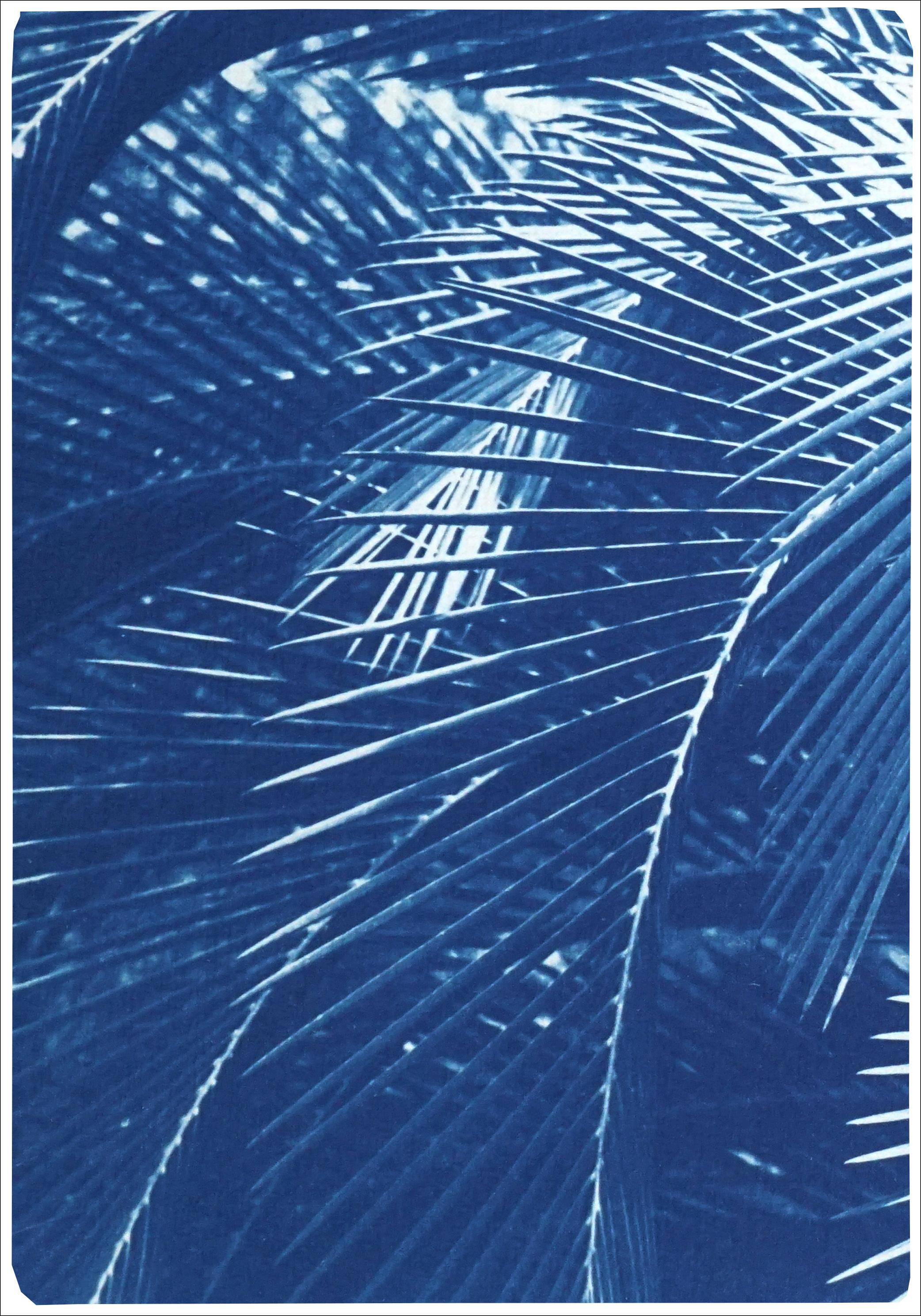 Botanical Triptych of Shady Majesty Palm Leaves Garden, Blue Tones Cyanotype  - Naturalistic Print by Kind of Cyan