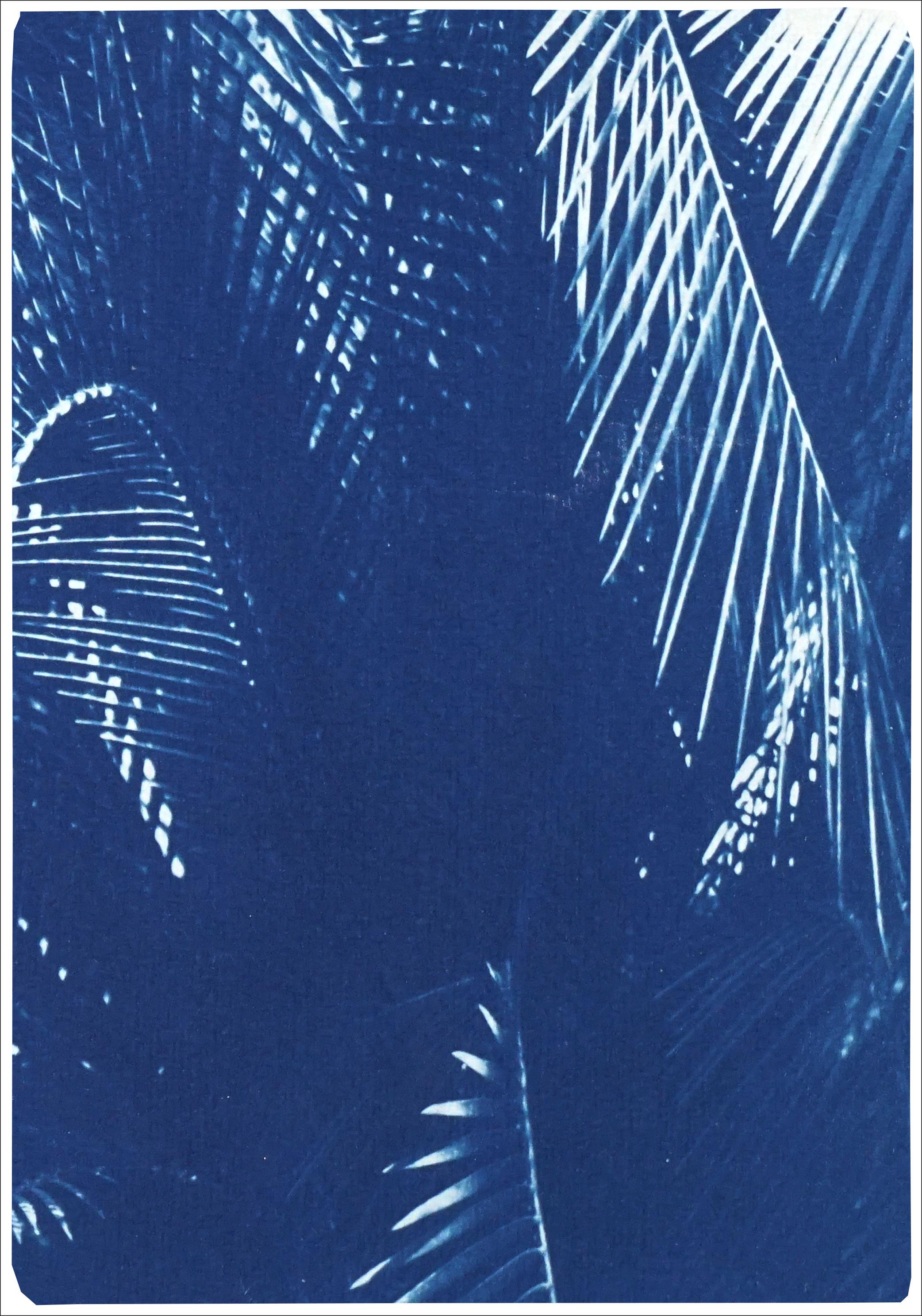 Botanical Triptych of Shady Majesty Palm Leaves Garden, Blue Tones Cyanotype  1