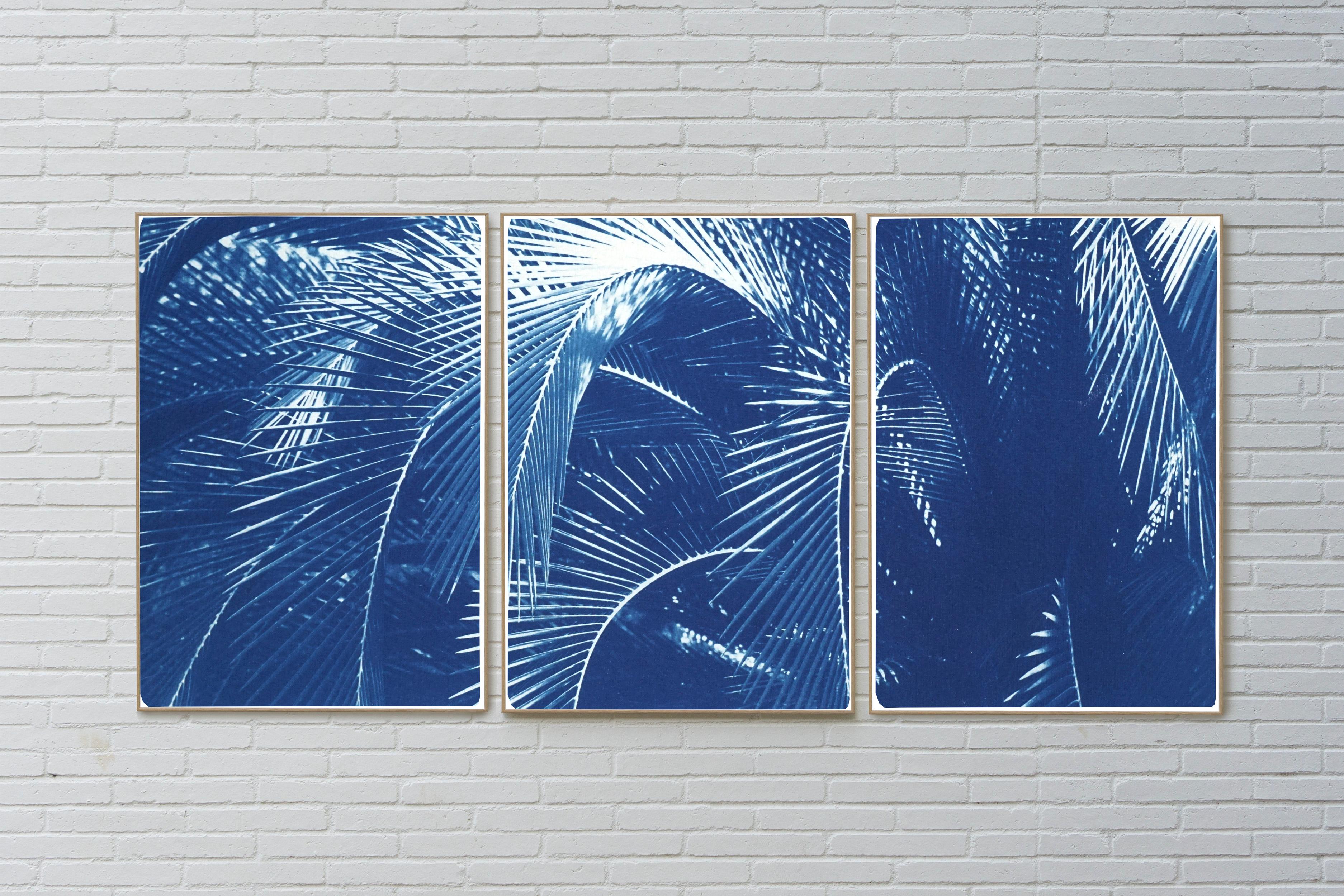 Botanical Triptych of Shady Majesty Palm Leaves Garden, Blue Tones Cyanotype  2