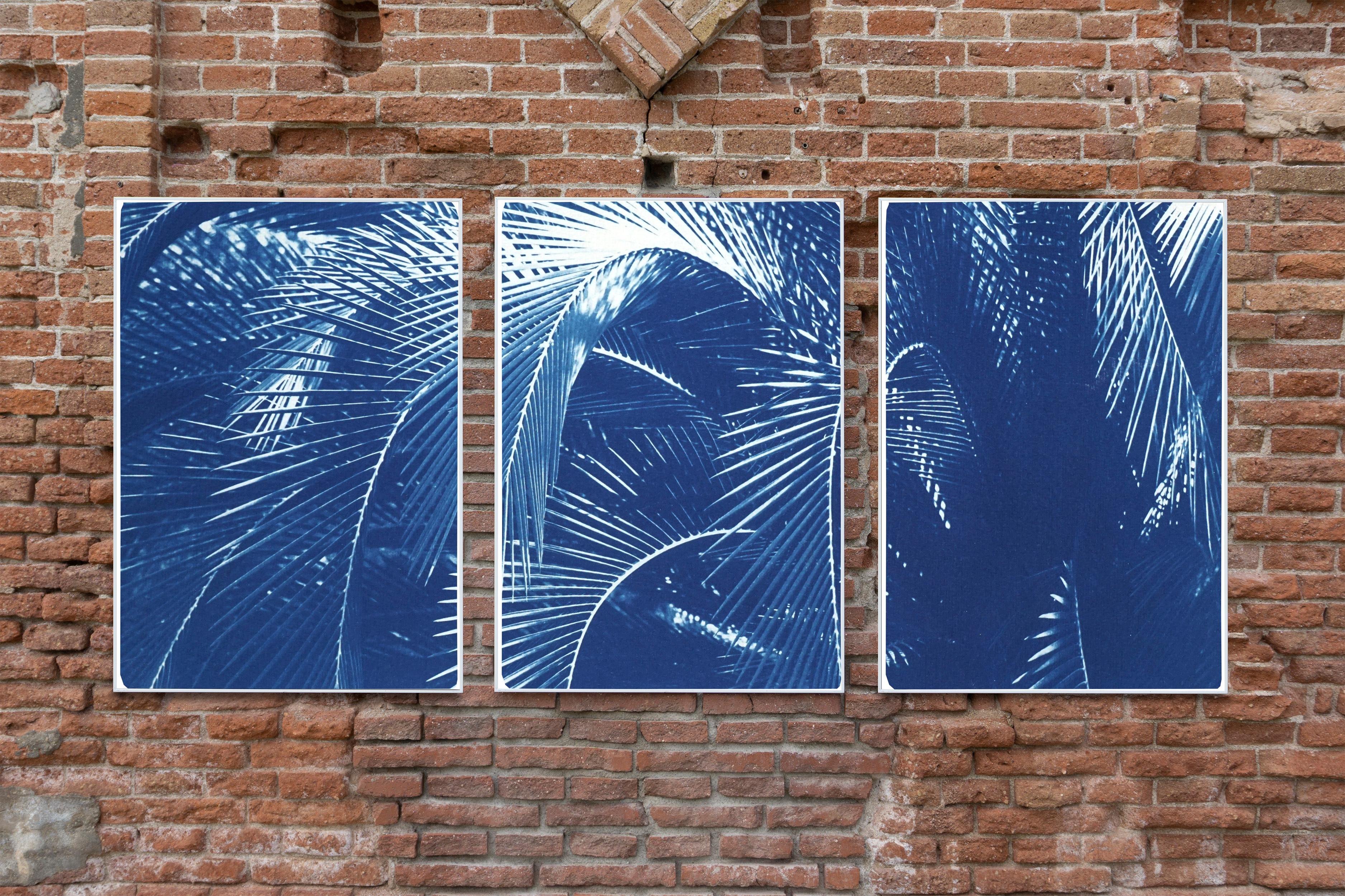 Botanical Triptych of Shady Majesty Palm Leaves Garden, Blue Tones Cyanotype  3