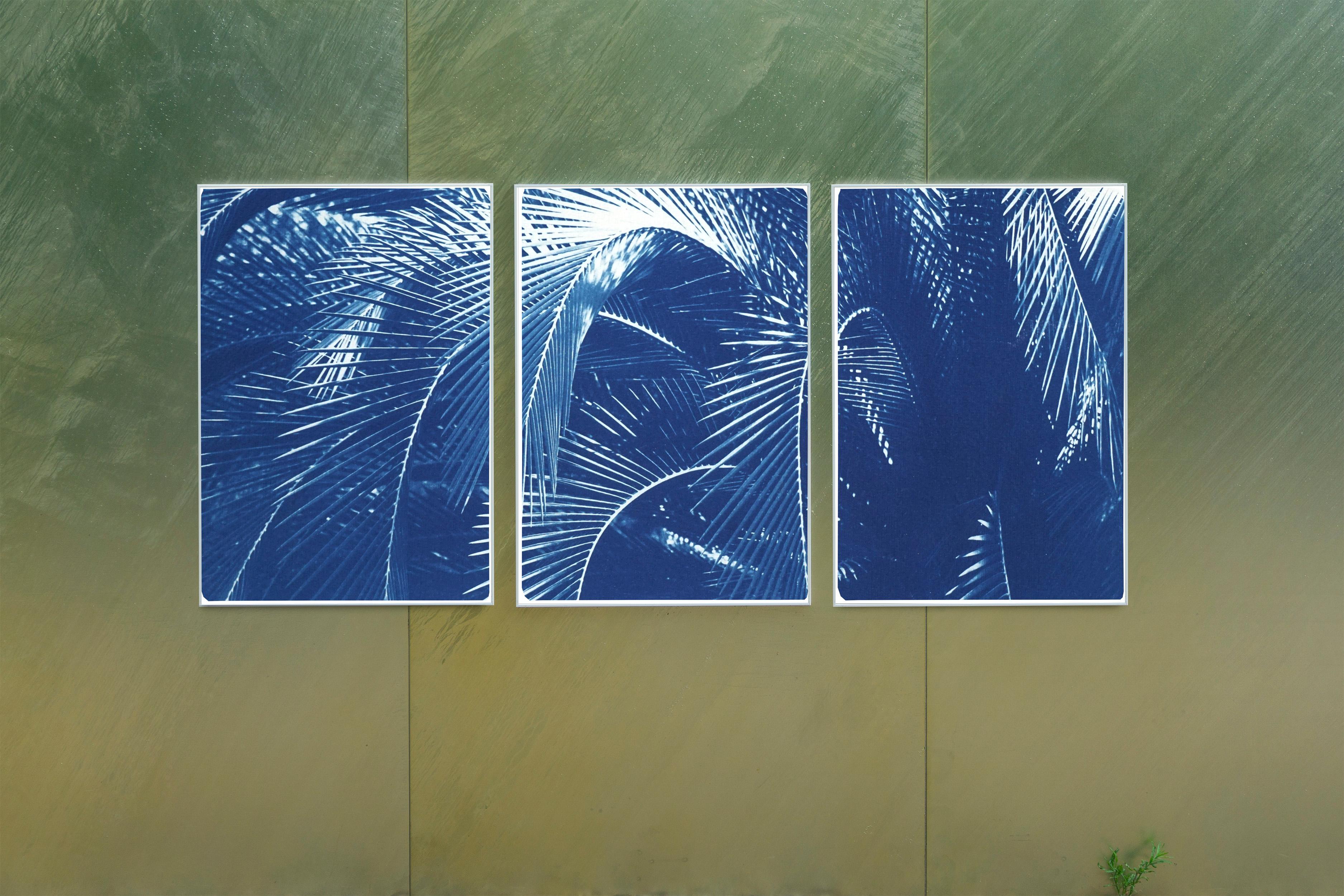 Botanical Triptych of Shady Majesty Palm Leaves Garden, Blue Tones Cyanotype  4