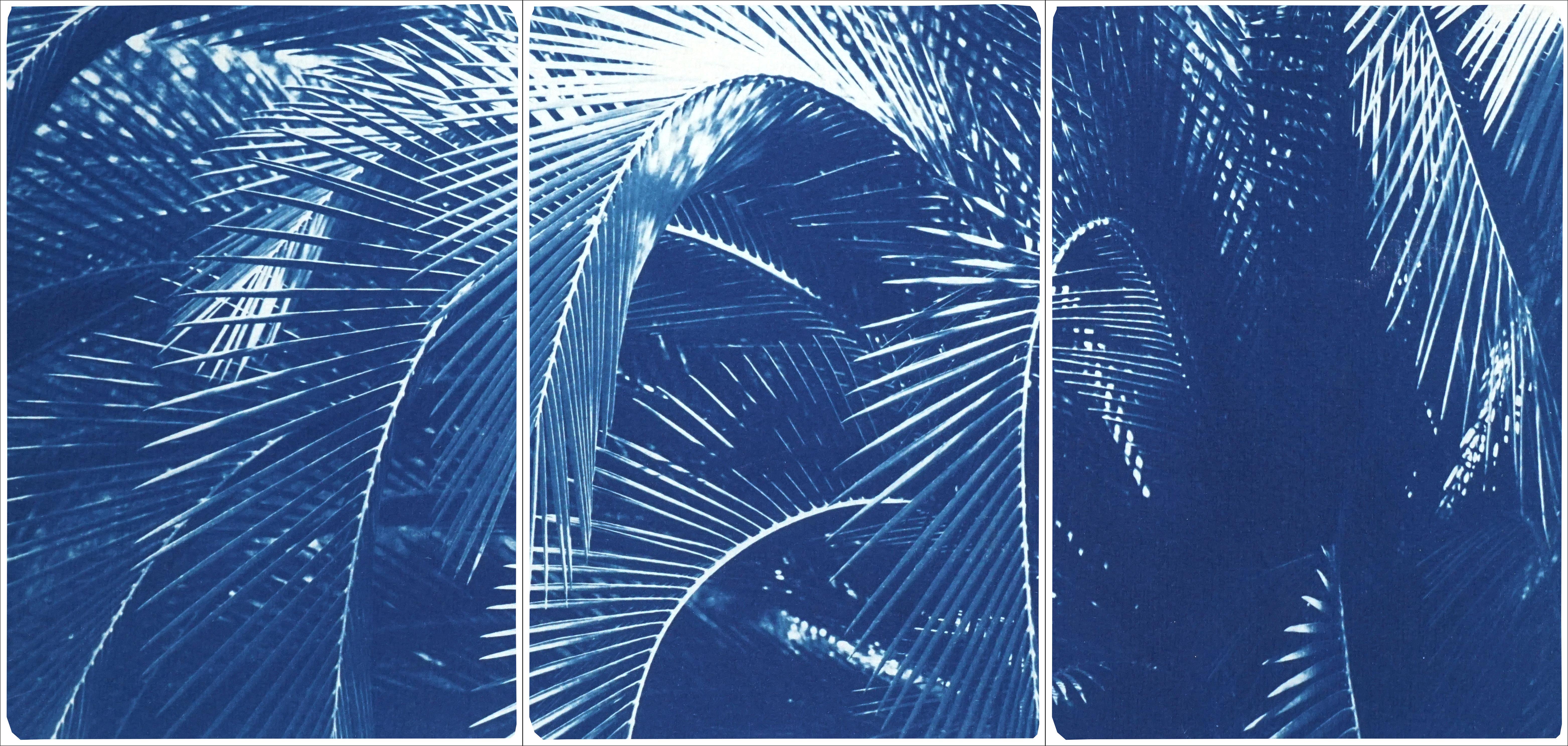 Kind of Cyan Landscape Print - Botanical Triptych of Shady Majesty Palm Leaves Garden, Blue Tones Cyanotype 