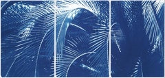 Botanical Triptych of Shady Majesty Palm Leaves Garden, Blue Tones Cyanotype 