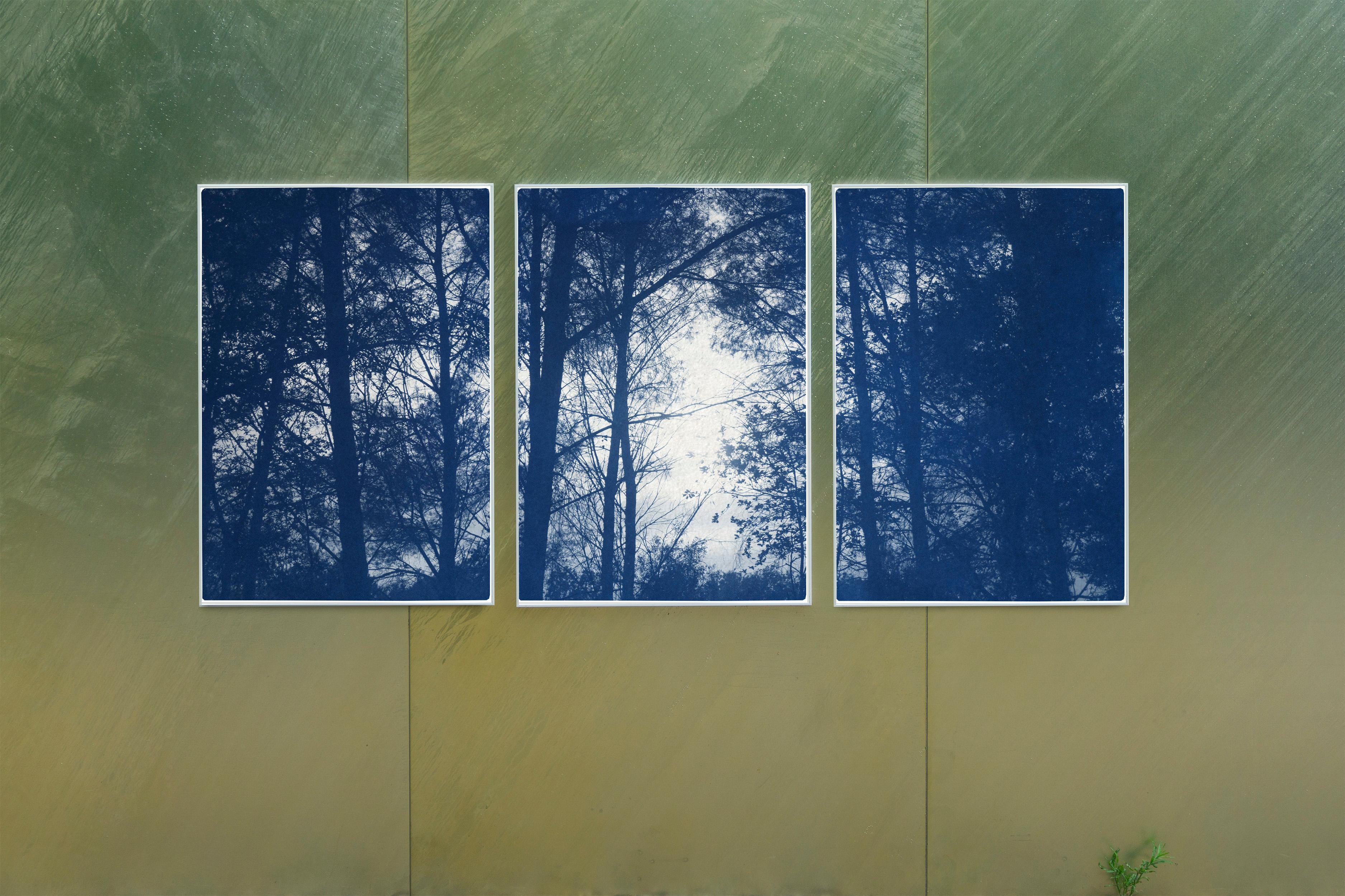 This is an exclusive handprinted limited edition cyanotype.
This beautiful triptych displays a quiet forest silhouette sunset. 

Details:
+ Title: Forest Silhouette Sunset 
+ Year: 2021
+ Edition Size: 100
+ Stamped and Certificate of Authenticity