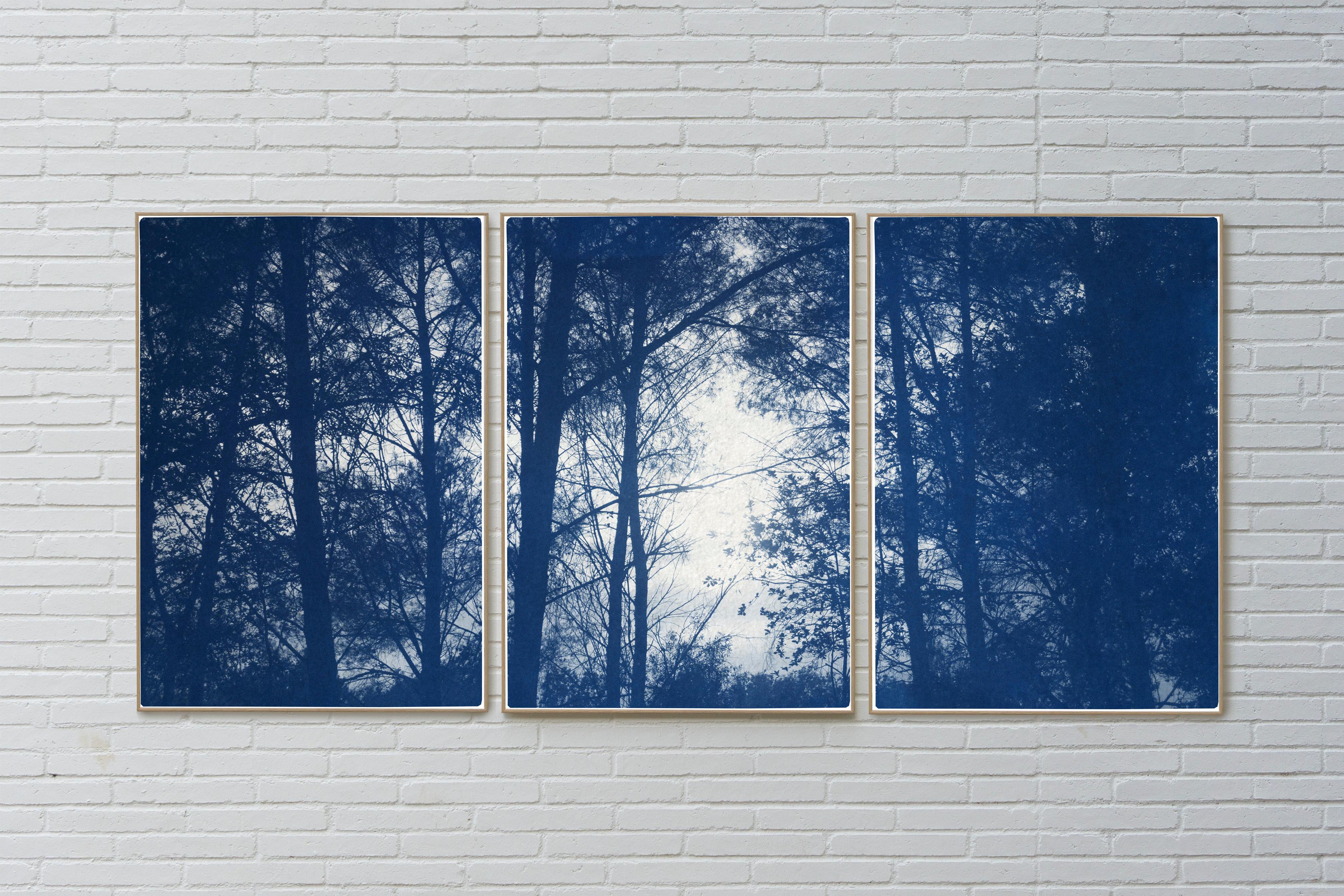 Silhouette de coucher de soleil en forêt, grand triptyque de la nature bleue, cyanotype sur papier, 2021 en vente 3