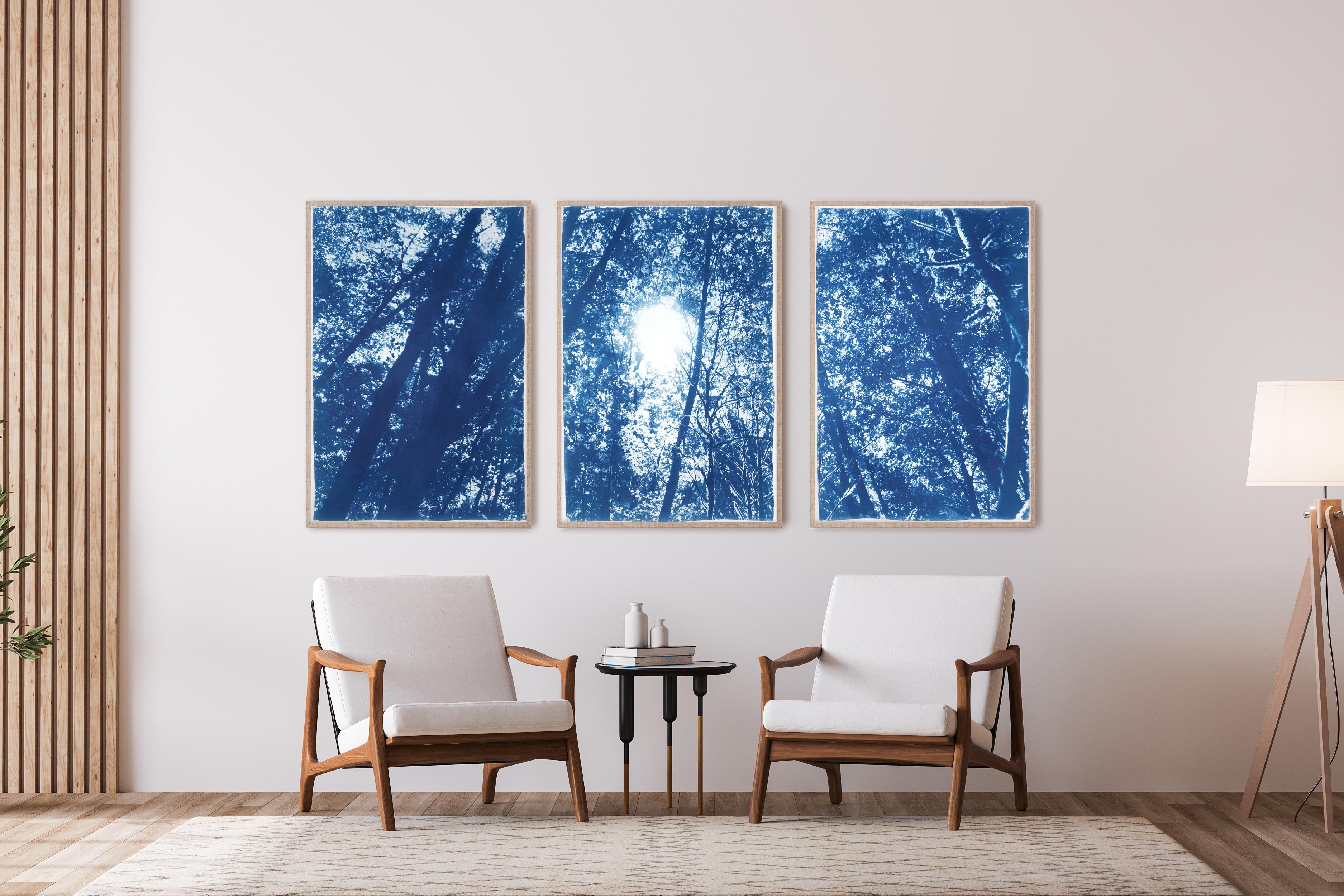 Forest Triptych, Looking Up Through The Trees, Blue Nature, Handmade Cyanotype For Sale 6