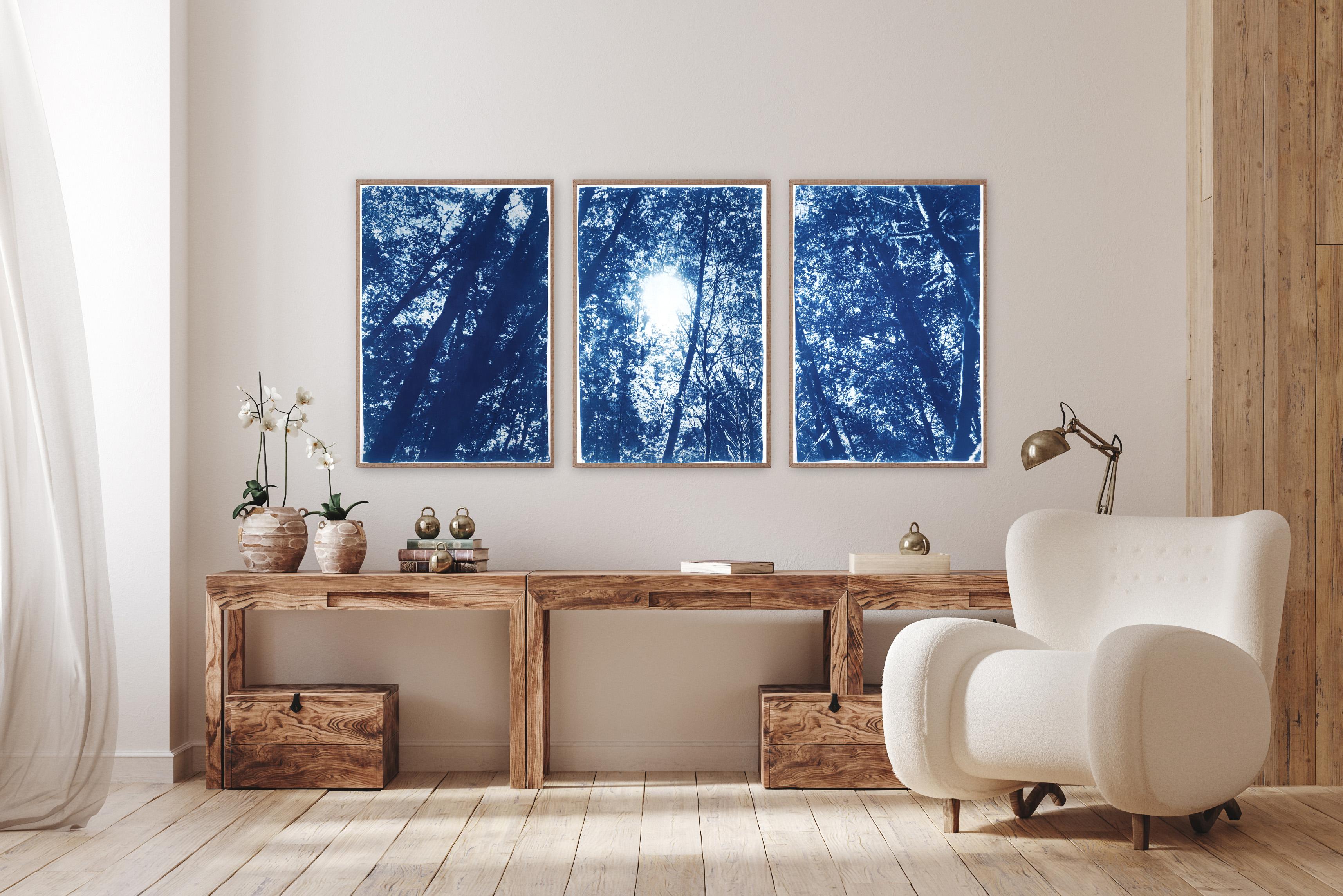 Forest Triptych, Looking Up Through The Trees, Blue Nature, Handmade Cyanotype For Sale 7