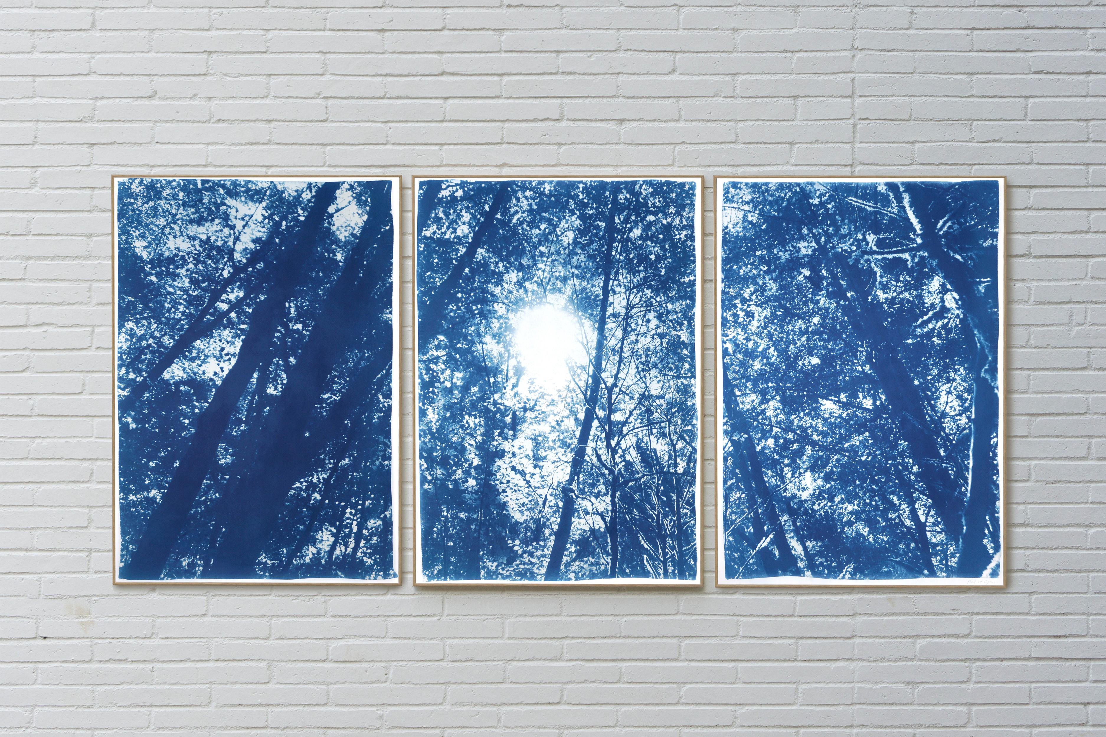 Forest Triptych, Looking Up Through The Trees, Blue Nature, Handmade Cyanotype For Sale 8