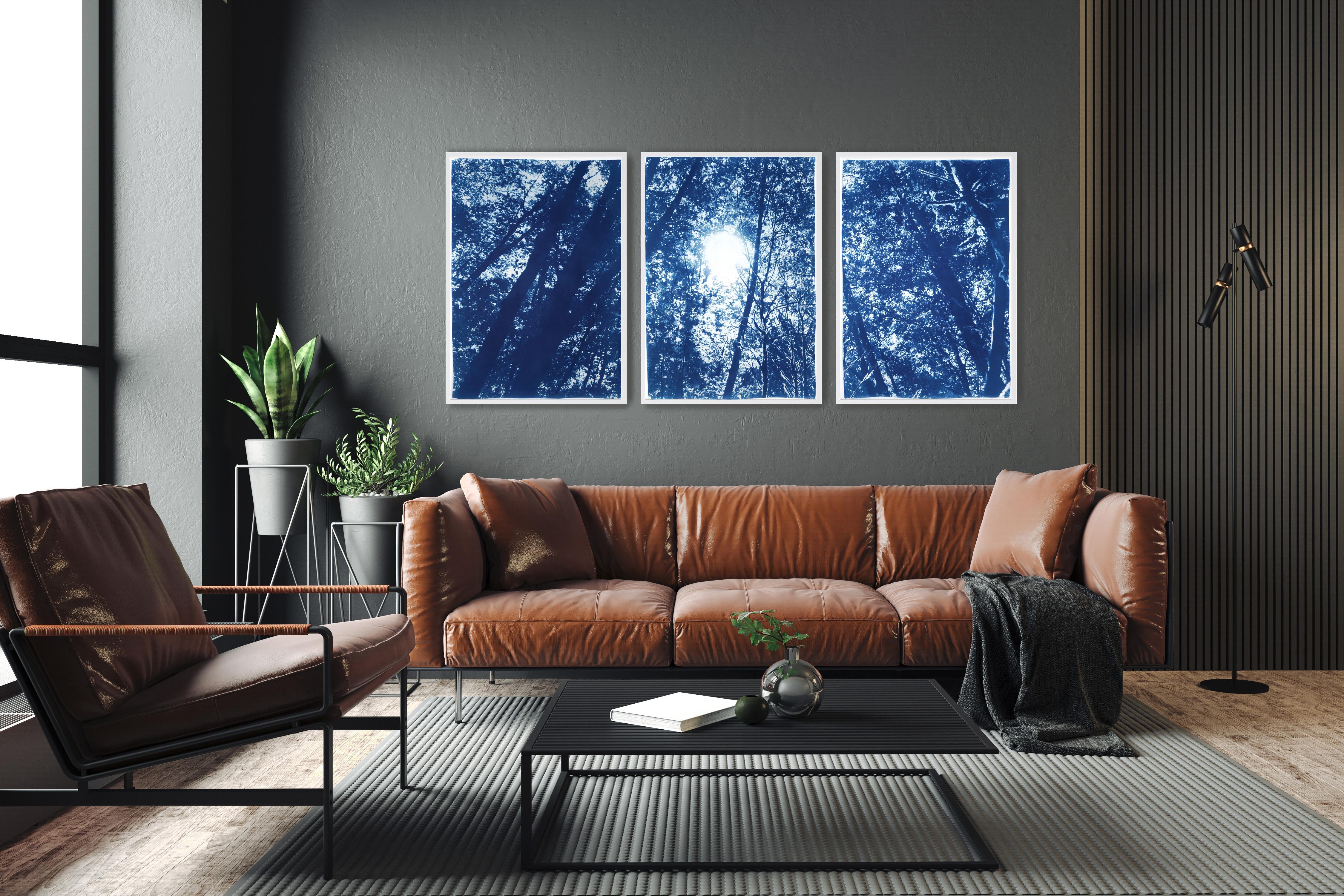 Forest Triptych, Looking Up Through The Trees, Blue Nature, Handmade Cyanotype For Sale 9