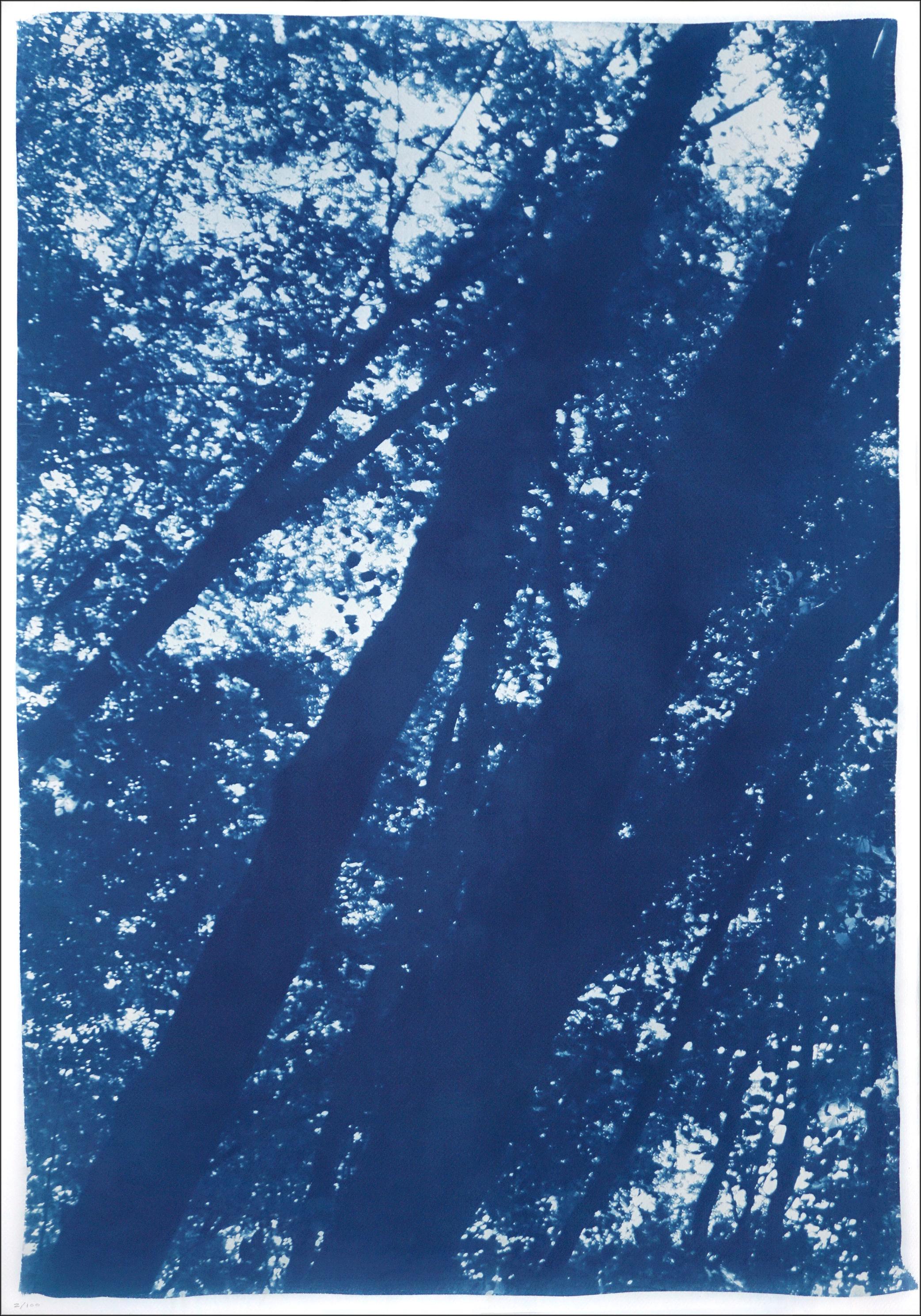 Forest Triptych, Looking Up Through The Trees, Blue Nature, Handmade Cyanotype For Sale 10